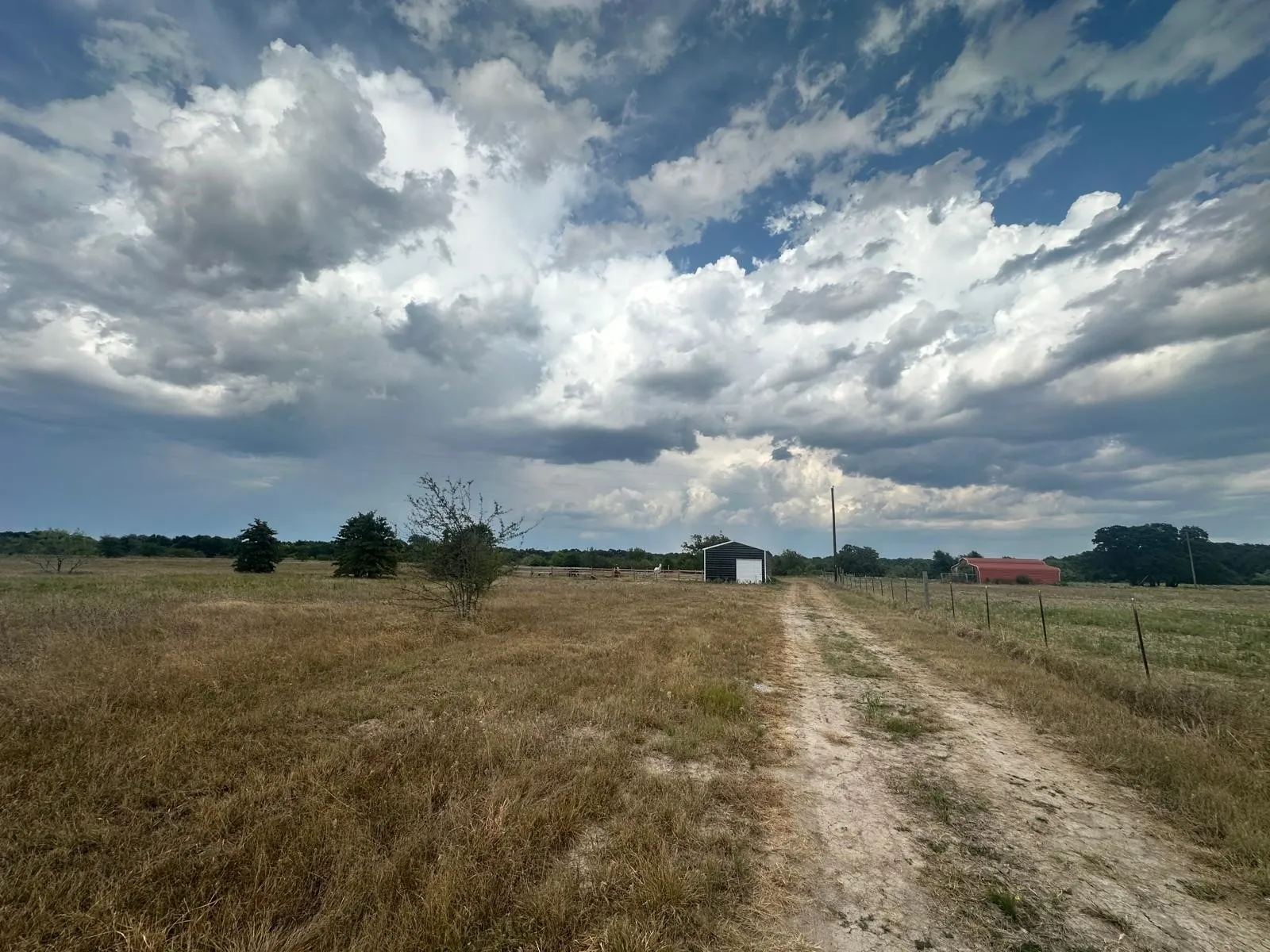 Expansive open field with a dirt pathway, featuring a black and white barn, a red barn, and mature trees