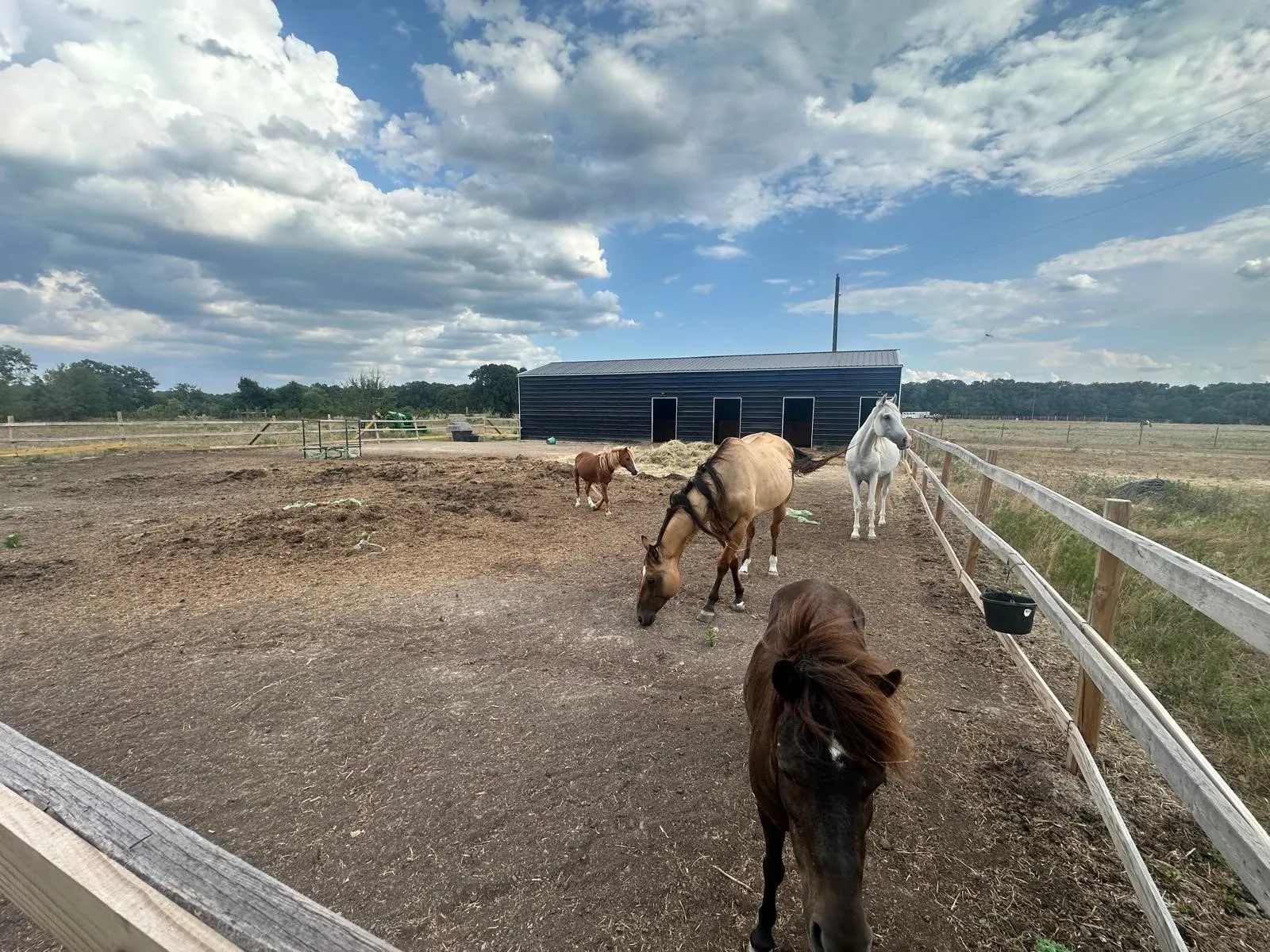 Unimproved Land For Sale in Henderson County , 12496 County Road 2148, Kemp, Texas 75143, 0, 0, Garage spaces, 0 Sqft, built in 0, mls#21391790, Real Estate Agent in Kemp, Homes For Sale in Henderson county, Homes For Sale in Kemp, Realtor in Kemp Texas, Real Estate Brokerage Independent Realty Texas, Luminita Cordes Realtor