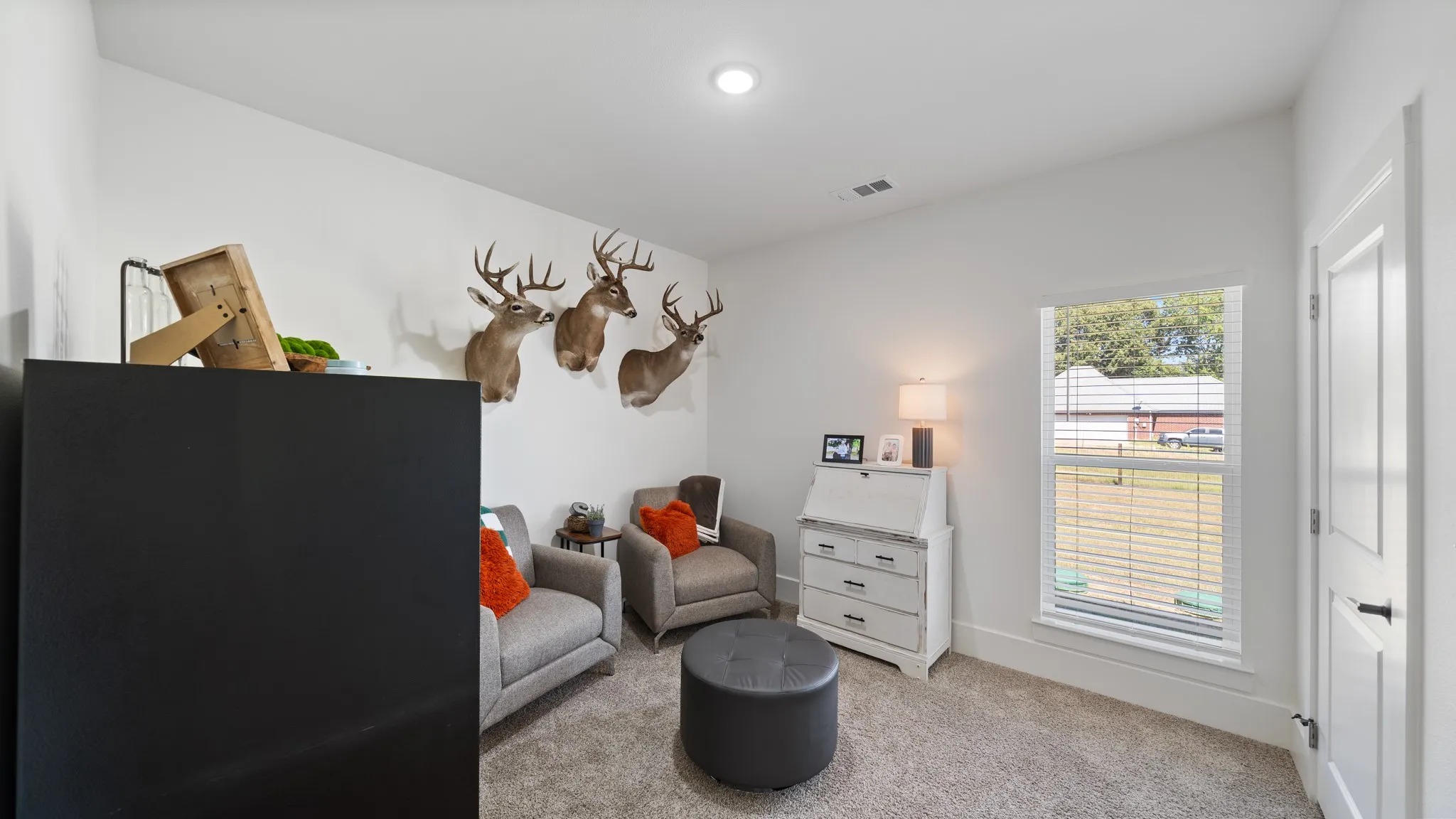 Versatile recreation room featuring recessed ceiling lighting, plush carpeting, and decorative wall-mounted taxidermy accents