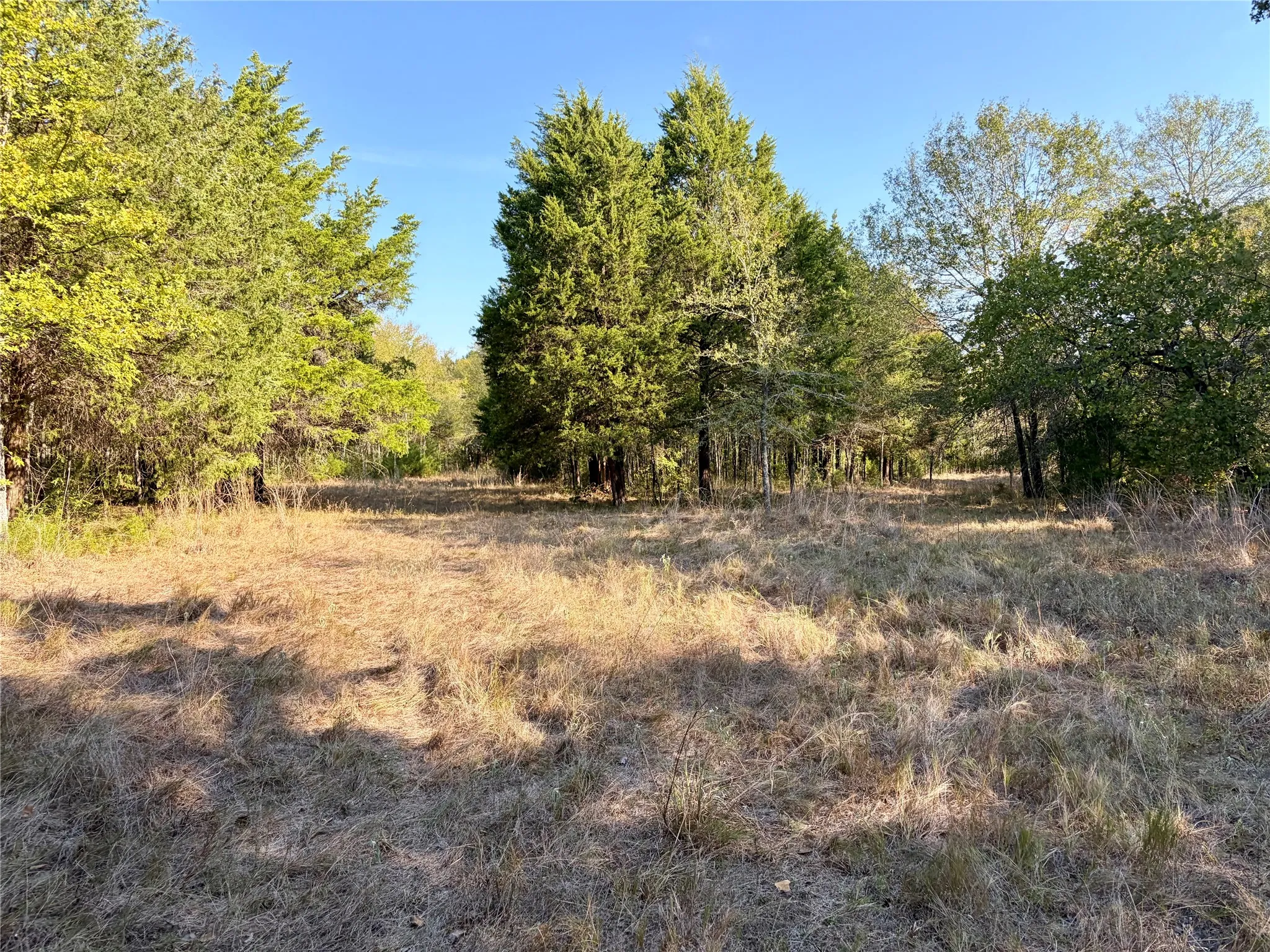 Unimproved Land For Sale in Henderson County , 10740 N Us-175, Athens, Texas 75751, 0, 0, Garage spaces, 0 Sqft, built in 0, mls#21389087, Real Estate Agent in Athens, Homes For Sale in Henderson county, Homes For Sale in Athens, Realtor in Athens Texas, Real Estate Brokerage Independent Realty Texas, Luminita Cordes Realtor
