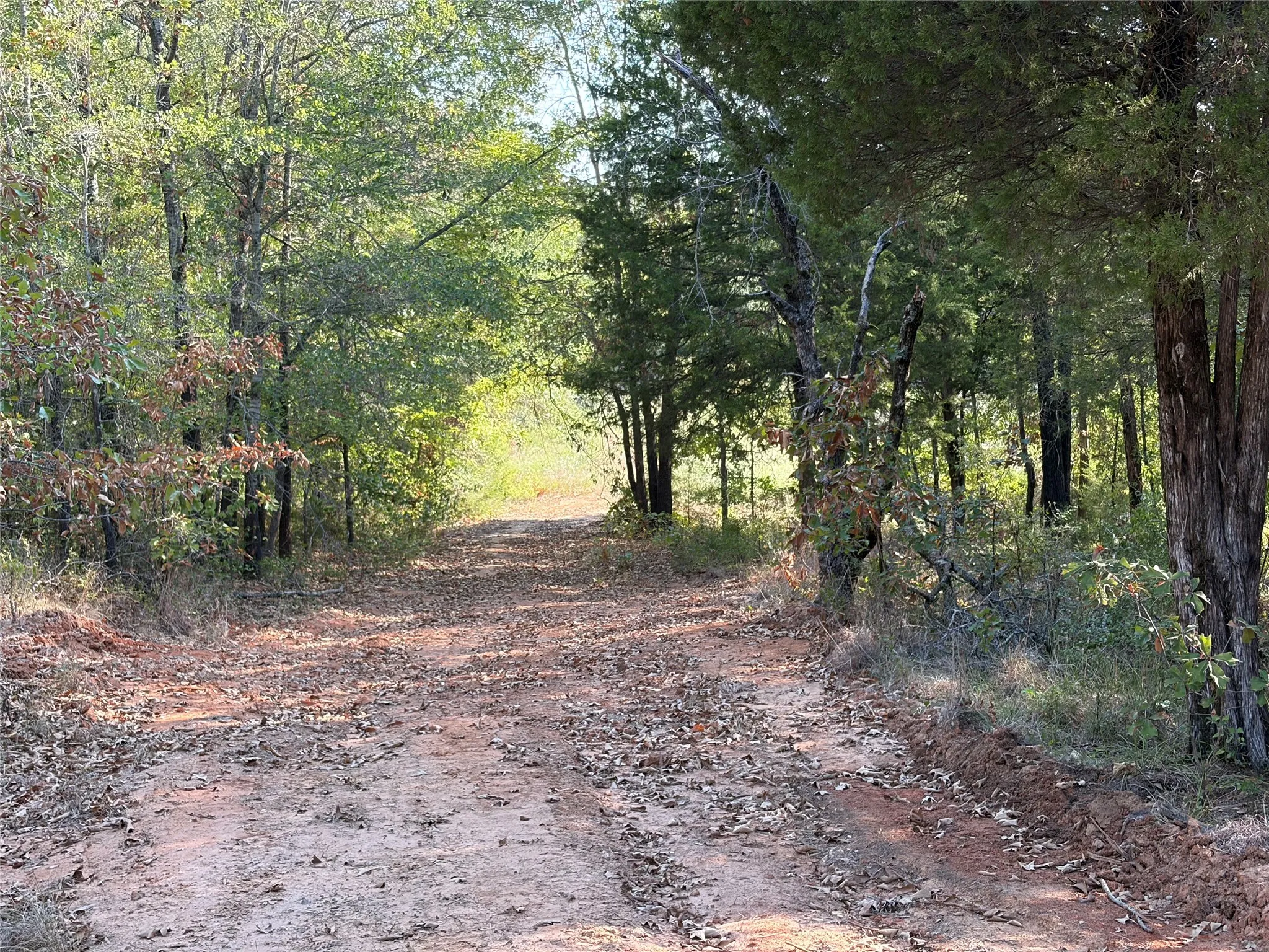 Unimproved Land For Sale in Henderson County , 10740 N Us-175, Athens, Texas 75751, 0, 0, Garage spaces, 0 Sqft, built in 0, mls#21389087, Real Estate Agent in Athens, Homes For Sale in Henderson county, Homes For Sale in Athens, Realtor in Athens Texas, Real Estate Brokerage Independent Realty Texas, Luminita Cordes Realtor