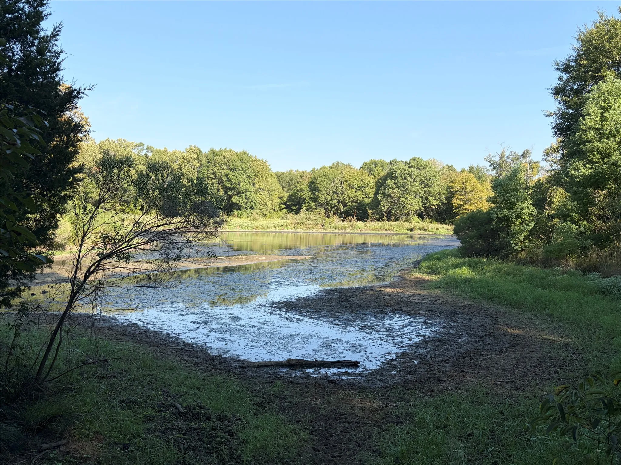 Unimproved Land For Sale in Henderson County , 10740 N Us-175, Athens, Texas 75751, 0, 0, Garage spaces, 0 Sqft, built in 0, mls#21389087, Real Estate Agent in Athens, Homes For Sale in Henderson county, Homes For Sale in Athens, Realtor in Athens Texas, Real Estate Brokerage Independent Realty Texas, Luminita Cordes Realtor