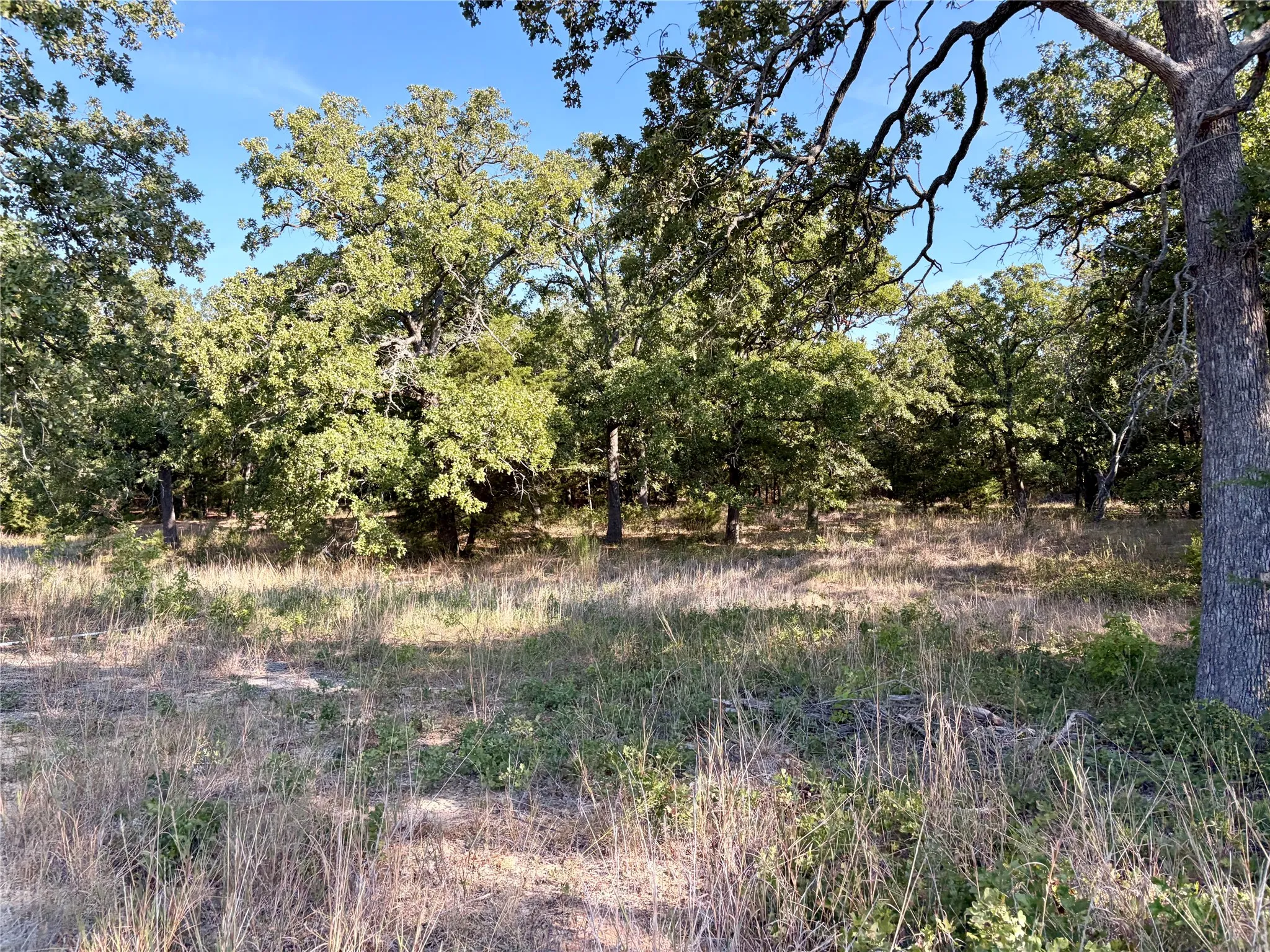 Unimproved Land For Sale in Henderson County , 10740 N Us-175, Athens, Texas 75751, 0, 0, Garage spaces, 0 Sqft, built in 0, mls#21389087, Real Estate Agent in Athens, Homes For Sale in Henderson county, Homes For Sale in Athens, Realtor in Athens Texas, Real Estate Brokerage Independent Realty Texas, Luminita Cordes Realtor