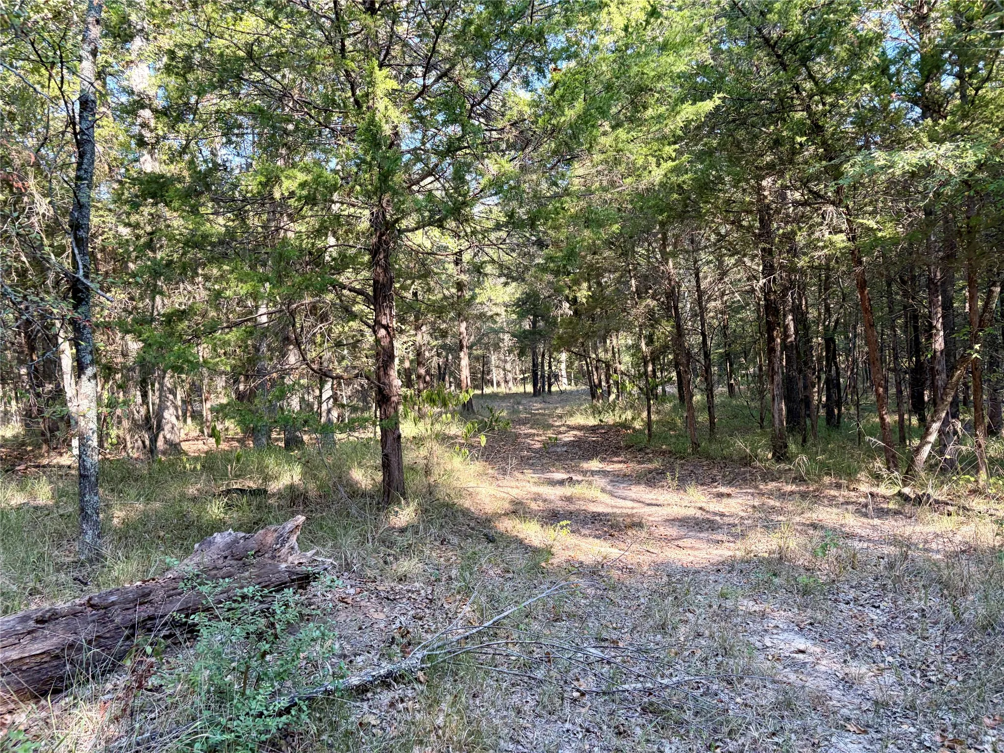 Unimproved Land For Sale in Henderson County , 10740 N Us-175, Athens, Texas 75751, 0, 0, Garage spaces, 0 Sqft, built in 0, mls#21389087, Real Estate Agent in Athens, Homes For Sale in Henderson county, Homes For Sale in Athens, Realtor in Athens Texas, Real Estate Brokerage Independent Realty Texas, Luminita Cordes Realtor