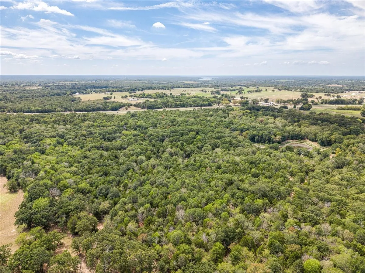 Unimproved Land For Sale in Henderson County , 10740 N Us-175, Athens, Texas 75751, 0, 0, Garage spaces, 0 Sqft, built in 0, mls#21389087, Real Estate Agent in Athens, Homes For Sale in Henderson county, Homes For Sale in Athens, Realtor in Athens Texas, Real Estate Brokerage Independent Realty Texas, Luminita Cordes Realtor