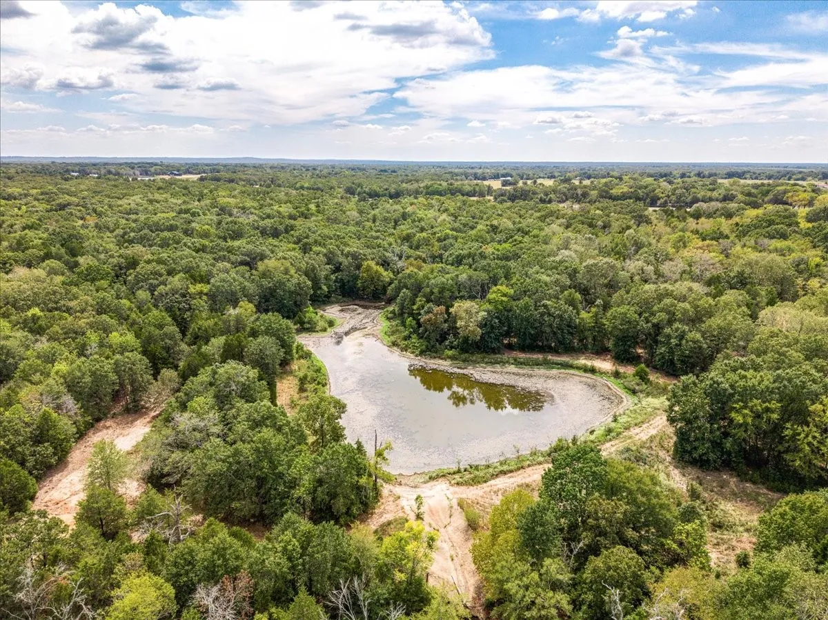 Unimproved Land For Sale in Henderson County , 10740 N Us-175, Athens, Texas 75751, 0, 0, Garage spaces, 0 Sqft, built in 0, mls#21389087, Real Estate Agent in Athens, Homes For Sale in Henderson county, Homes For Sale in Athens, Realtor in Athens Texas, Real Estate Brokerage Independent Realty Texas, Luminita Cordes Realtor