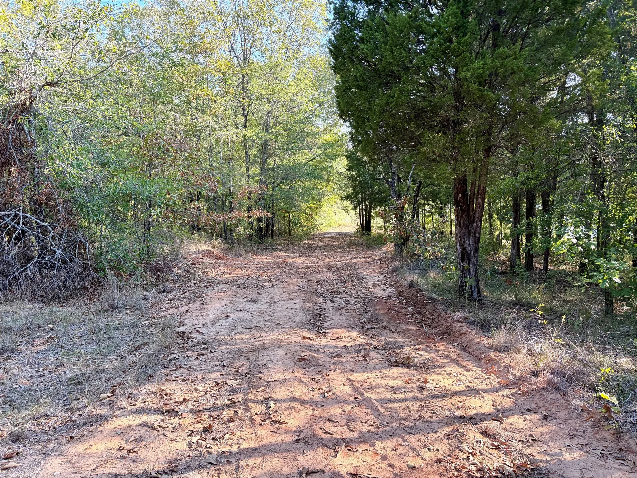 Unimproved Land For Sale in Henderson County , 10740 N Us-175, Athens, Texas 75751, 0, 0, Garage spaces, 0 Sqft, built in 0, mls#21389087, Real Estate Agent in Athens, Homes For Sale in Henderson county, Homes For Sale in Athens, Realtor in Athens Texas, Real Estate Brokerage Independent Realty Texas, Luminita Cordes Realtor