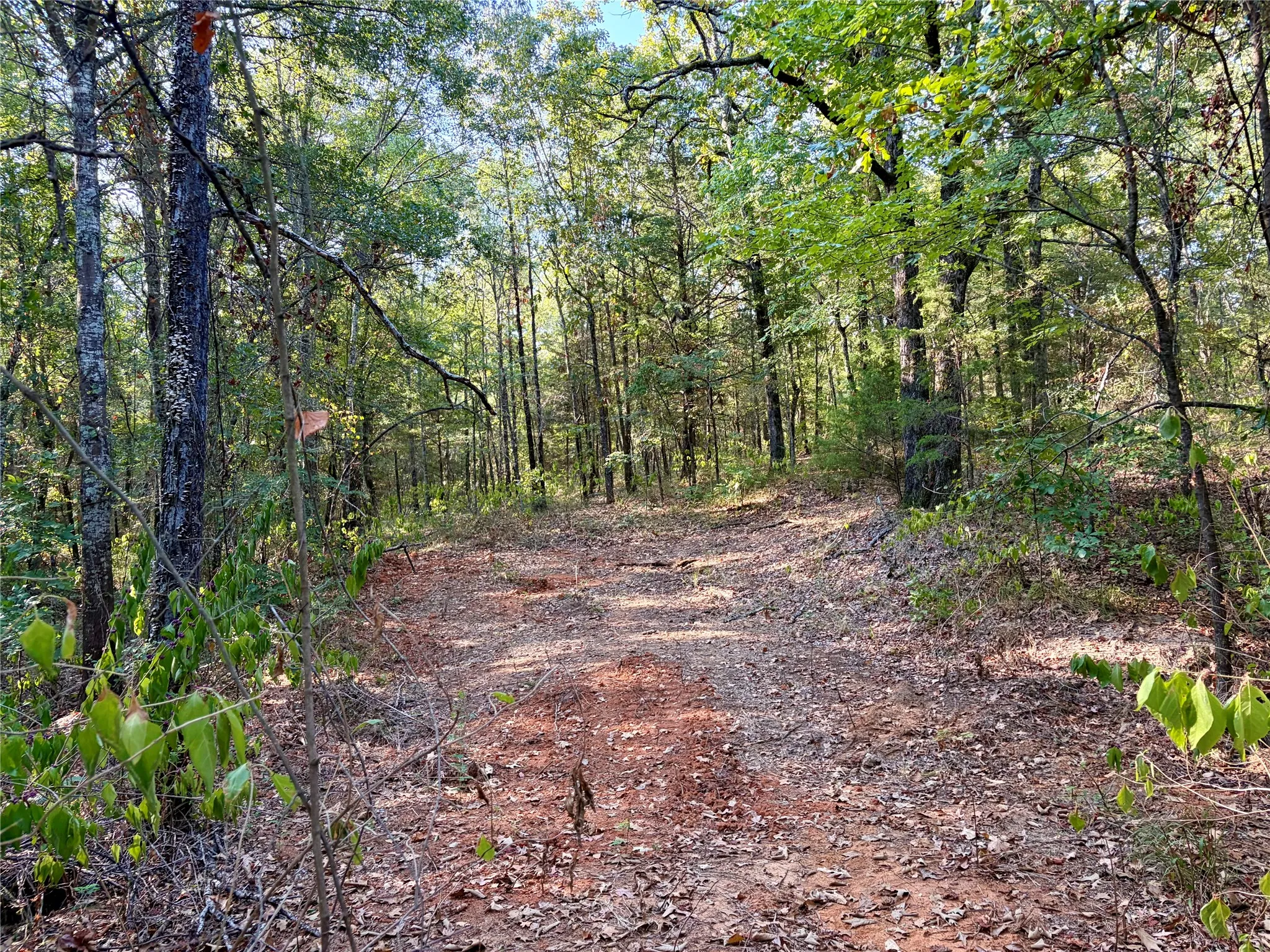 Unimproved Land For Sale in Henderson County , 10740 N Us-175, Athens, Texas 75751, 0, 0, Garage spaces, 0 Sqft, built in 0, mls#21389087, Real Estate Agent in Athens, Homes For Sale in Henderson county, Homes For Sale in Athens, Realtor in Athens Texas, Real Estate Brokerage Independent Realty Texas, Luminita Cordes Realtor