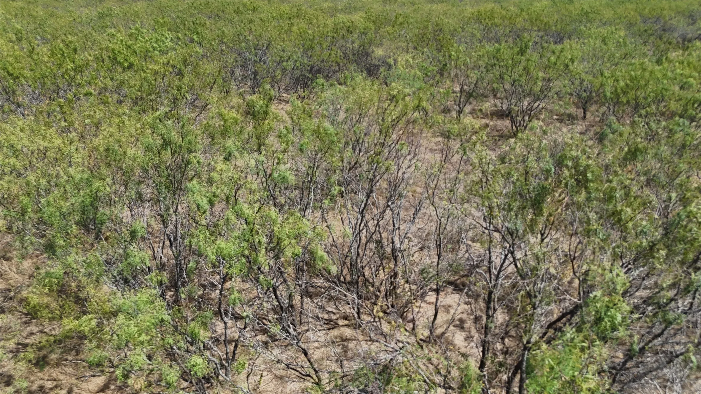 Unimproved Land For Sale in Hill County , TBD County Road 3230, Abbott, Texas 76621, 0, 0, Garage spaces, 0 Sqft, built in 0, mls#21391819, Real Estate Agent in Abbott, Homes For Sale in Hill county, Homes For Sale in Abbott, Realtor in Abbott Texas, Real Estate Brokerage Independent Realty Texas, Luminita Cordes Realtor