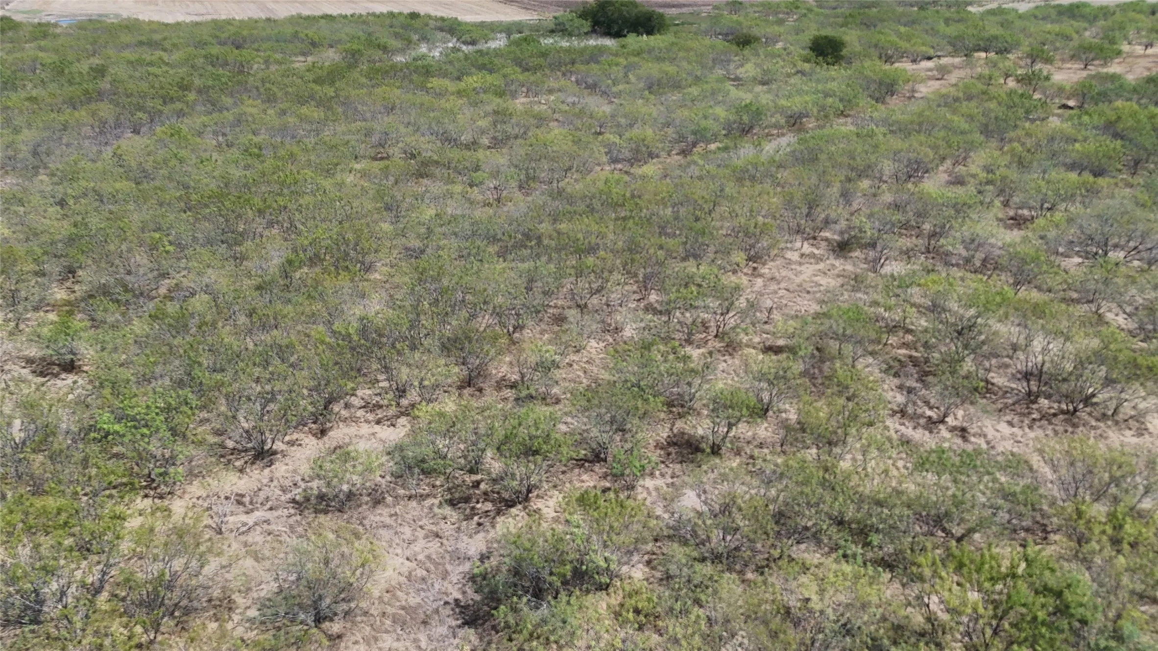 Unimproved Land For Sale in Hill County , TBD County Road 3230, Abbott, Texas 76621, 0, 0, Garage spaces, 0 Sqft, built in 0, mls#21391819, Real Estate Agent in Abbott, Homes For Sale in Hill county, Homes For Sale in Abbott, Realtor in Abbott Texas, Real Estate Brokerage Independent Realty Texas, Luminita Cordes Realtor