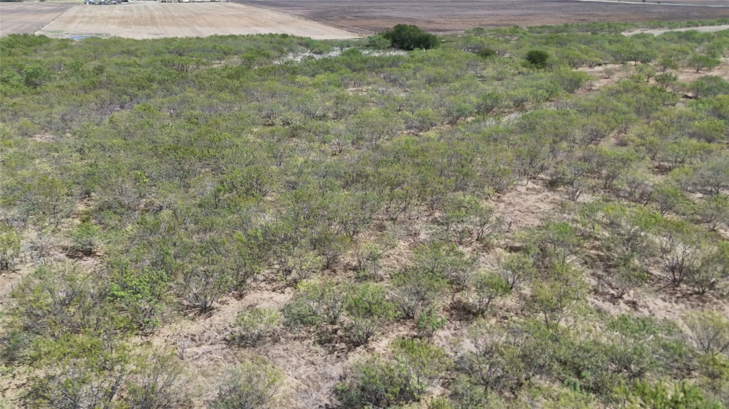 Unimproved Land For Sale in Hill County , TBD County Road 3230, Abbott, Texas 76621, 0, 0, Garage spaces, 0 Sqft, built in 0, mls#21391819, Real Estate Agent in Abbott, Homes For Sale in Hill county, Homes For Sale in Abbott, Realtor in Abbott Texas, Real Estate Brokerage Independent Realty Texas, Luminita Cordes Realtor