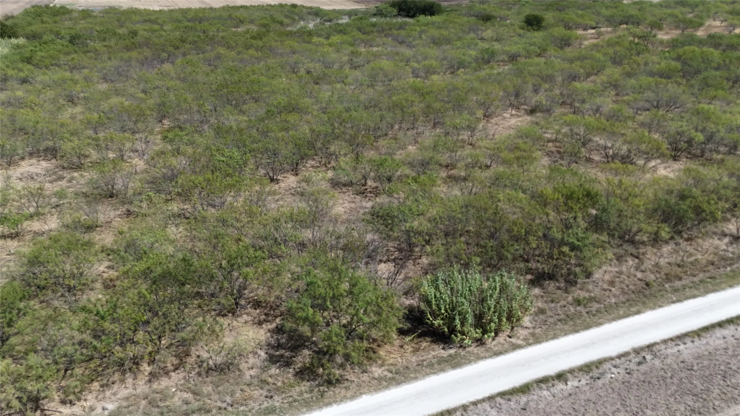 Unimproved Land For Sale in Hill County , TBD County Road 3230, Abbott, Texas 76621, 0, 0, Garage spaces, 0 Sqft, built in 0, mls#21391819, Real Estate Agent in Abbott, Homes For Sale in Hill county, Homes For Sale in Abbott, Realtor in Abbott Texas, Real Estate Brokerage Independent Realty Texas, Luminita Cordes Realtor