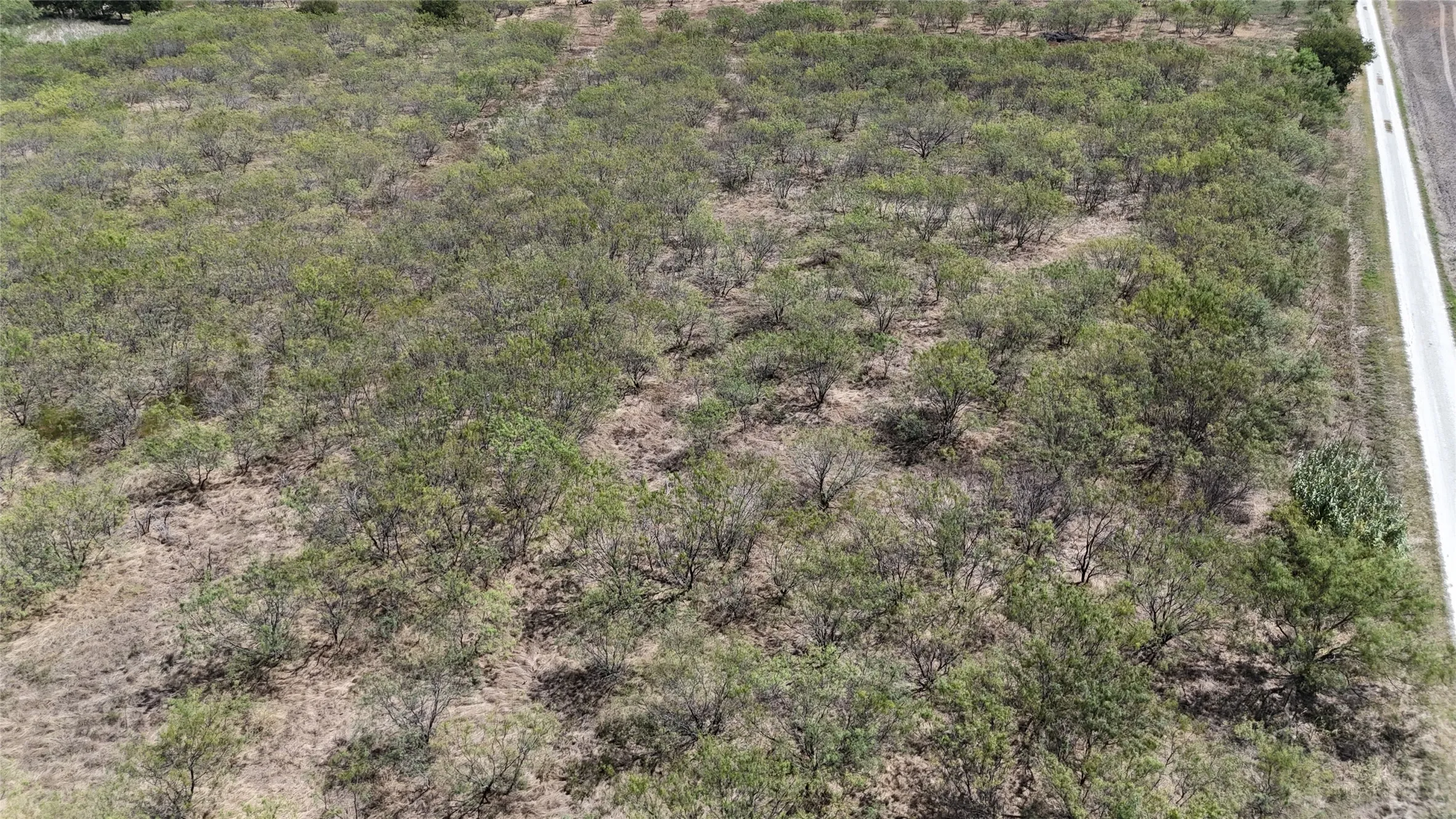 Unimproved Land For Sale in Hill County , TBD County Road 3230, Abbott, Texas 76621, 0, 0, Garage spaces, 0 Sqft, built in 0, mls#21391819, Real Estate Agent in Abbott, Homes For Sale in Hill county, Homes For Sale in Abbott, Realtor in Abbott Texas, Real Estate Brokerage Independent Realty Texas, Luminita Cordes Realtor