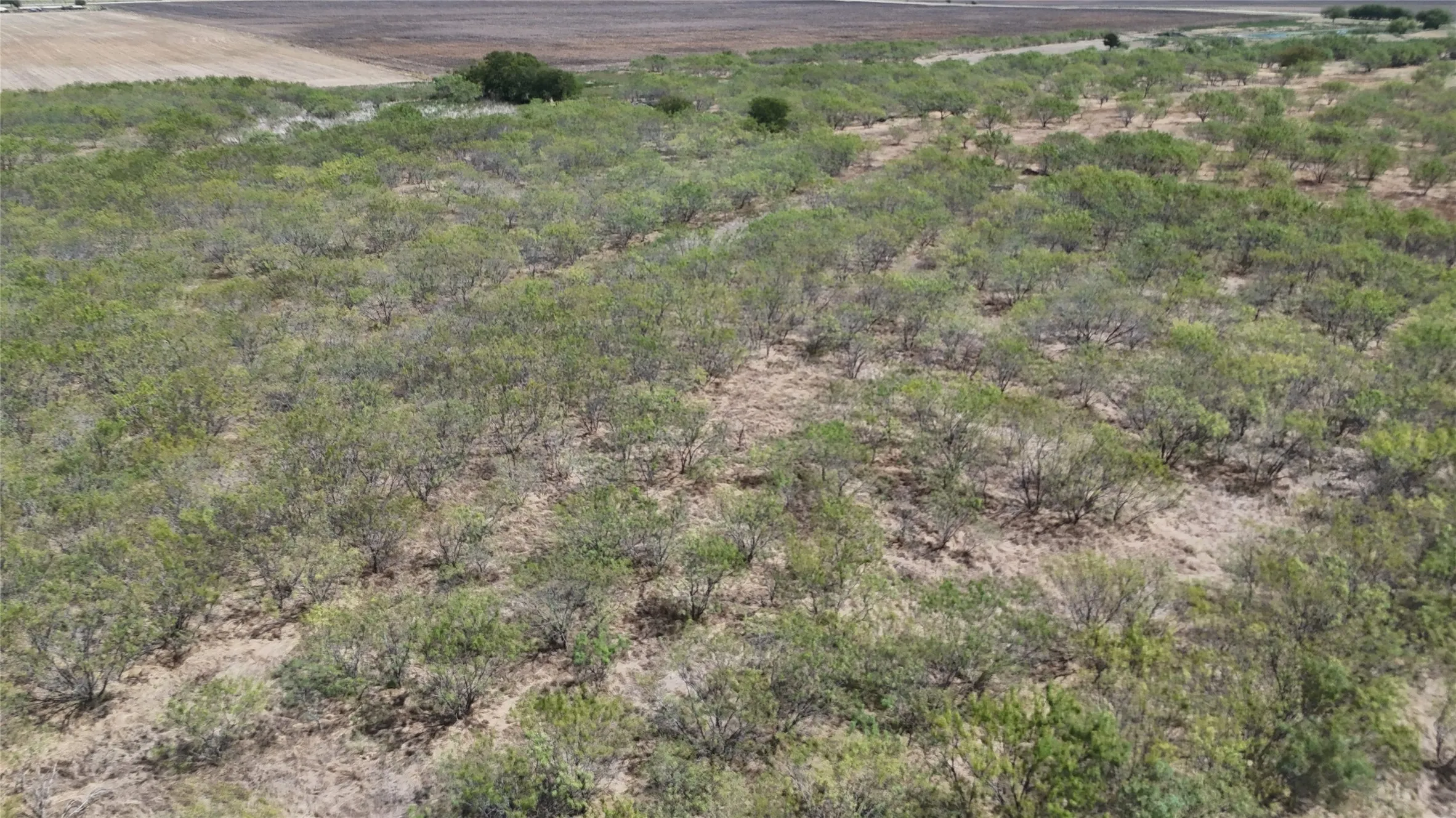 Unimproved Land For Sale in Hill County , TBD County Road 3230, Abbott, Texas 76621, 0, 0, Garage spaces, 0 Sqft, built in 0, mls#21391819, Real Estate Agent in Abbott, Homes For Sale in Hill county, Homes For Sale in Abbott, Realtor in Abbott Texas, Real Estate Brokerage Independent Realty Texas, Luminita Cordes Realtor