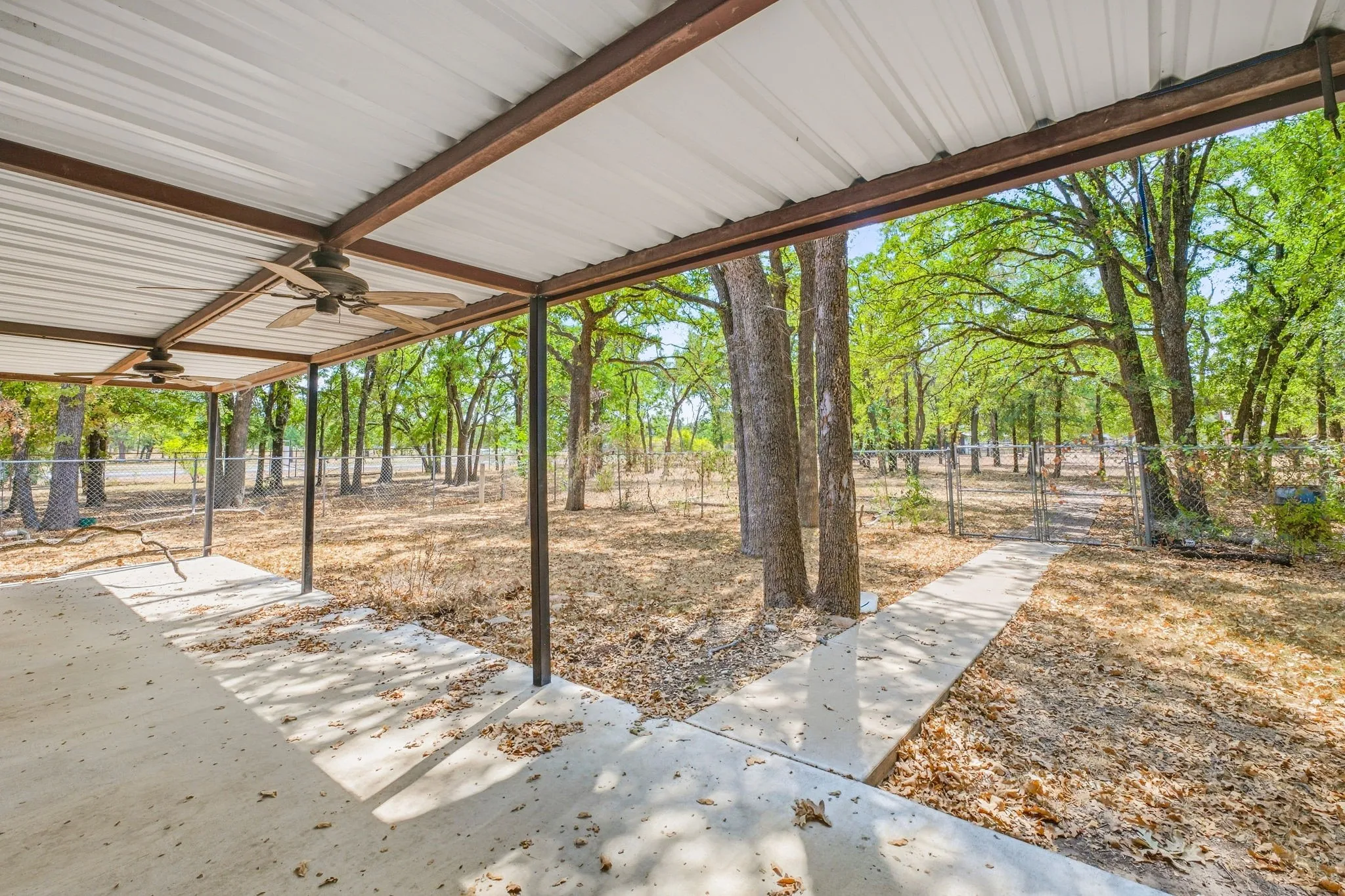 Shaded pavilion with metal beam construction and corrugated polycarbonate roof spanning mature hardwood trees