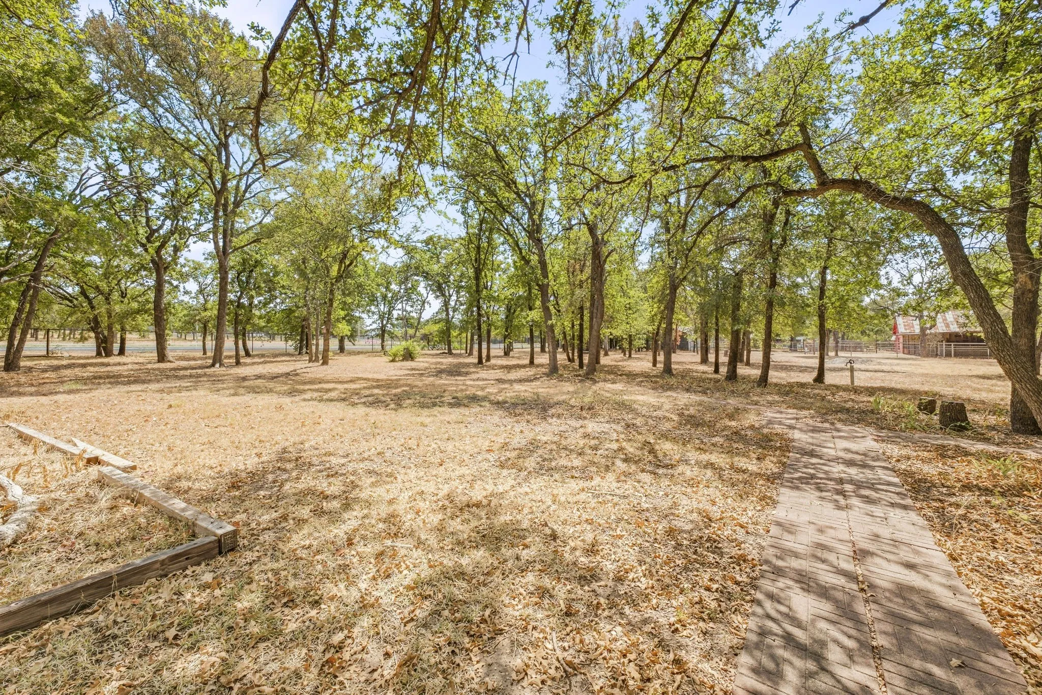 Expansive natural landscape with mature trees and a paved pathway