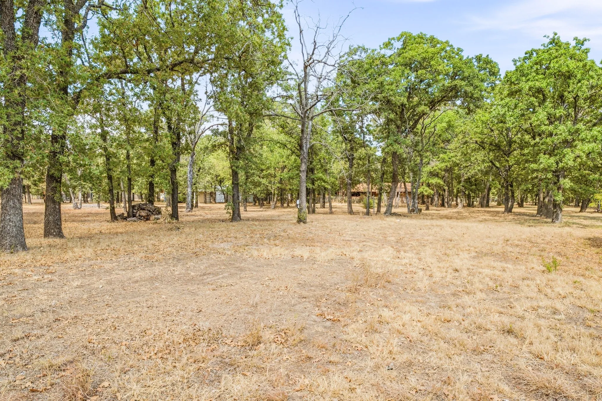 Expansive wooded grounds featuring a variety of mature trees and open clearings