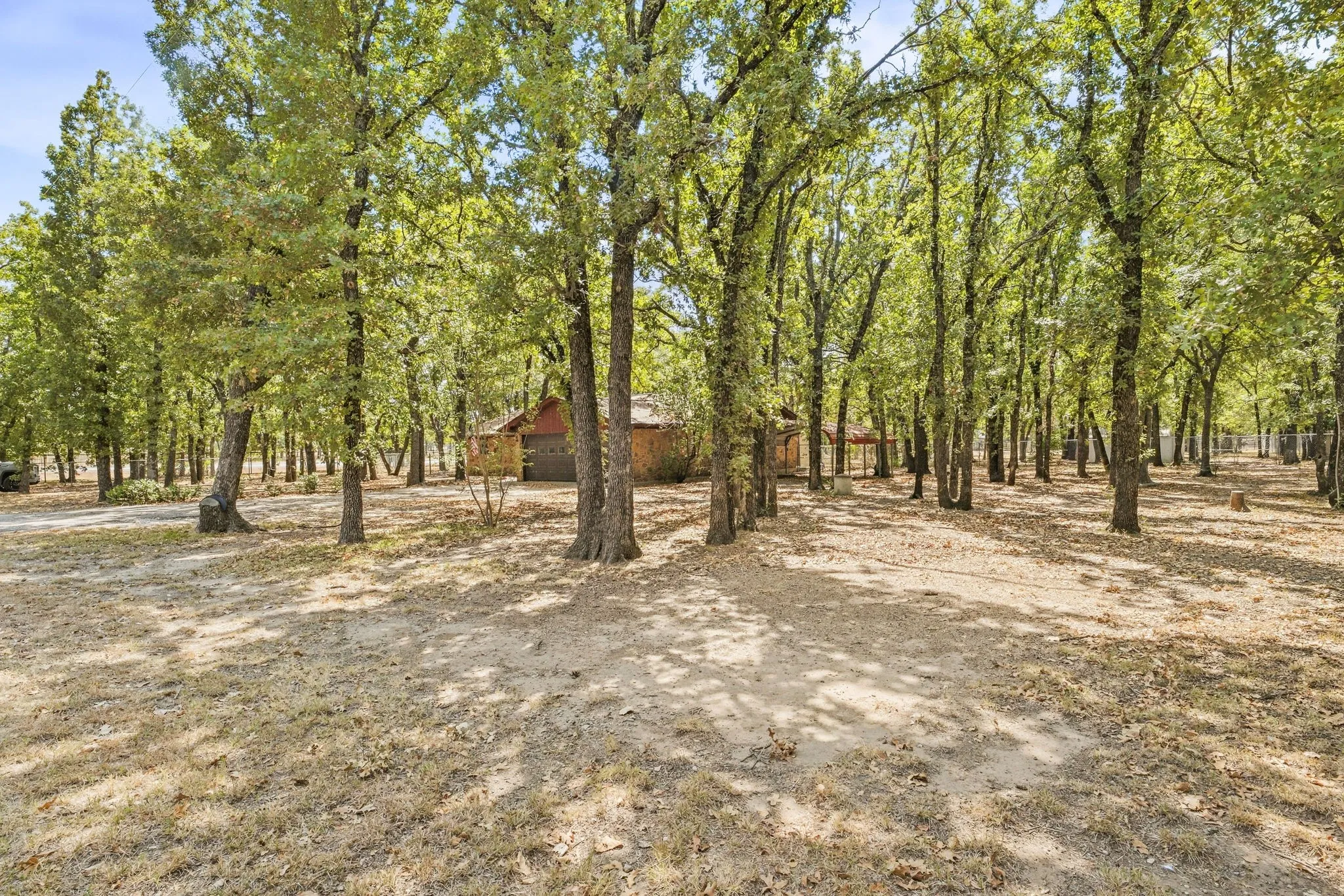 Wooded property with mature deciduous trees and a visible residential structure