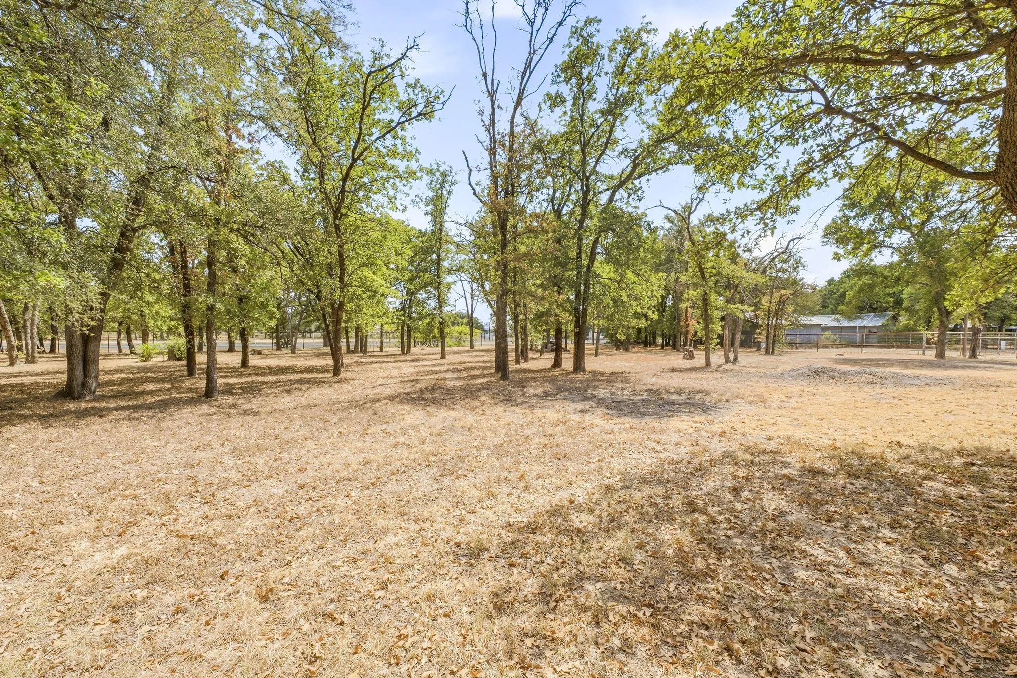 Expansive property featuring mature trees and natural landscaping