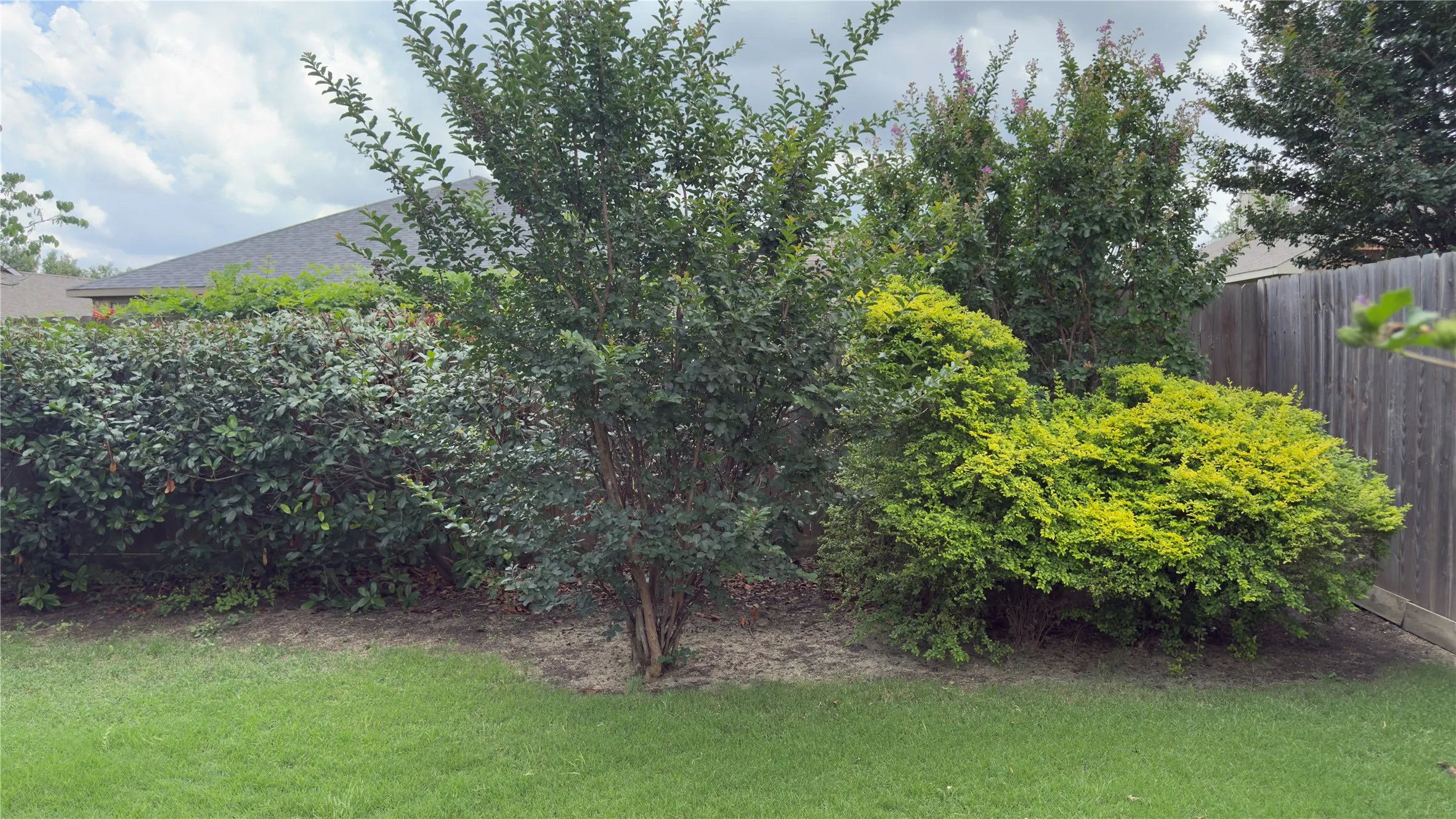 Yard in bloom in spring.
