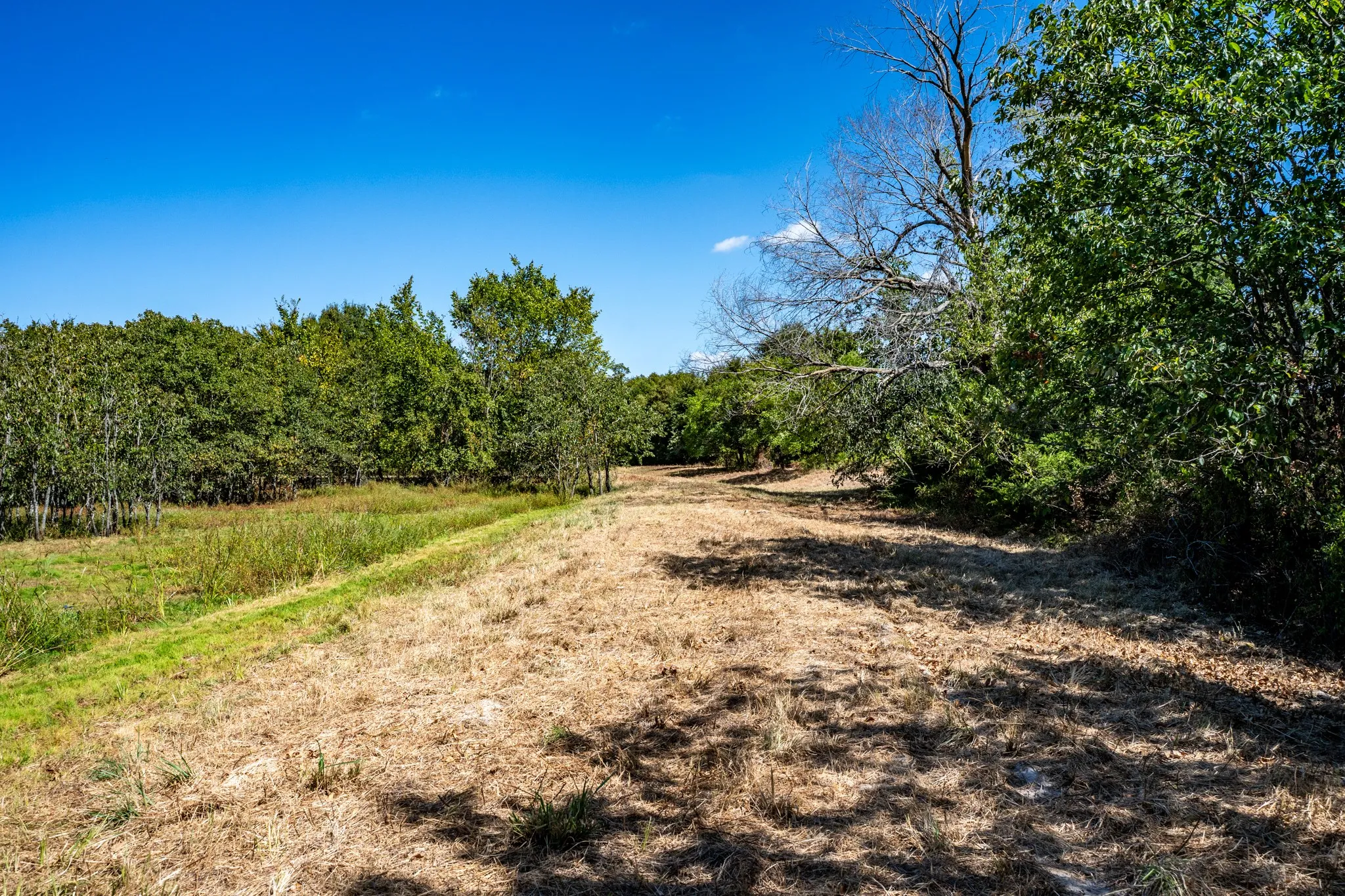 Unimproved Land For Sale in Lamar County , 000 County Road 35400, Arthur City, Texas 75411, 0, 0, Garage spaces, 0 Sqft, built in 0, mls#21391922, Real Estate Agent in Arthur City, Homes For Sale in Lamar county, Homes For Sale in Arthur City, Realtor in Arthur City Texas, Real Estate Brokerage Independent Realty Texas, Luminita Cordes Realtor