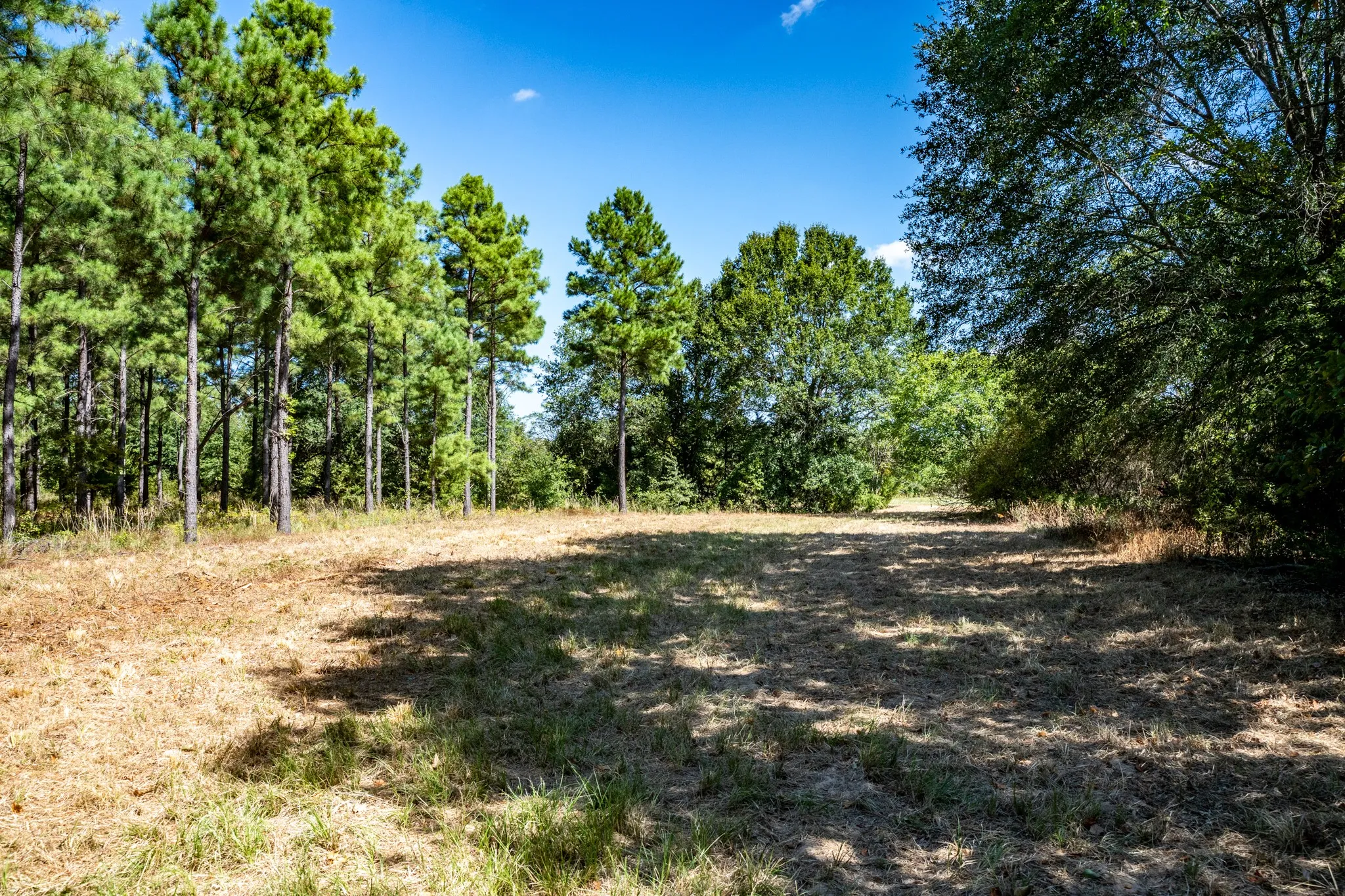 Unimproved Land For Sale in Lamar County , 000 County Road 35400, Arthur City, Texas 75411, 0, 0, Garage spaces, 0 Sqft, built in 0, mls#21391922, Real Estate Agent in Arthur City, Homes For Sale in Lamar county, Homes For Sale in Arthur City, Realtor in Arthur City Texas, Real Estate Brokerage Independent Realty Texas, Luminita Cordes Realtor
