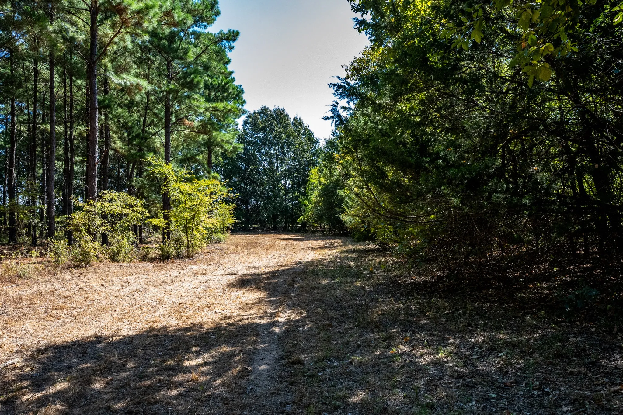 Unimproved Land For Sale in Lamar County , 000 County Road 35400, Arthur City, Texas 75411, 0, 0, Garage spaces, 0 Sqft, built in 0, mls#21391922, Real Estate Agent in Arthur City, Homes For Sale in Lamar county, Homes For Sale in Arthur City, Realtor in Arthur City Texas, Real Estate Brokerage Independent Realty Texas, Luminita Cordes Realtor
