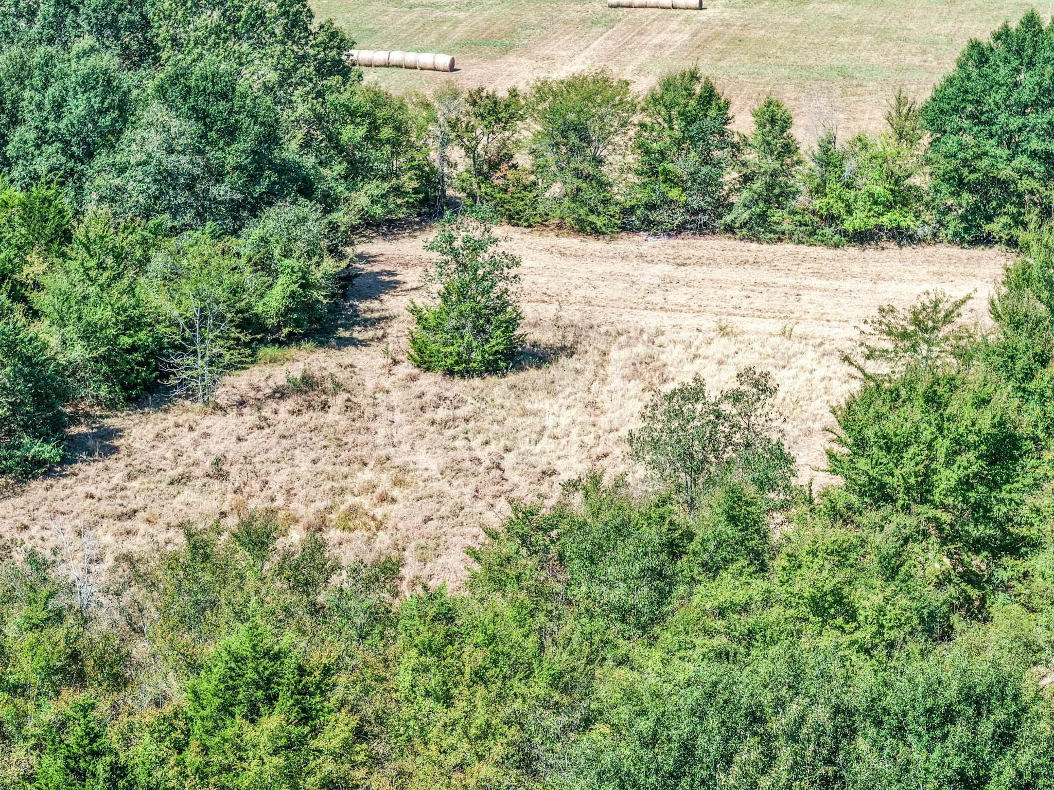 Unimproved Land For Sale in Lamar County , 000 County Road 35400, Arthur City, Texas 75411, 0, 0, Garage spaces, 0 Sqft, built in 0, mls#21391922, Real Estate Agent in Arthur City, Homes For Sale in Lamar county, Homes For Sale in Arthur City, Realtor in Arthur City Texas, Real Estate Brokerage Independent Realty Texas, Luminita Cordes Realtor