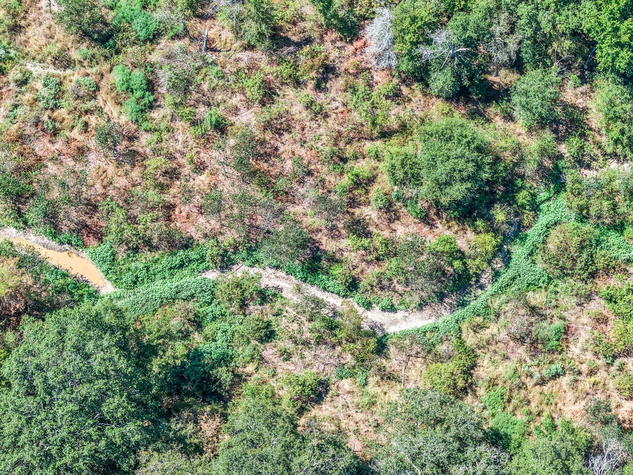Unimproved Land For Sale in Lamar County , 000 County Road 35400, Arthur City, Texas 75411, 0, 0, Garage spaces, 0 Sqft, built in 0, mls#21391922, Real Estate Agent in Arthur City, Homes For Sale in Lamar county, Homes For Sale in Arthur City, Realtor in Arthur City Texas, Real Estate Brokerage Independent Realty Texas, Luminita Cordes Realtor