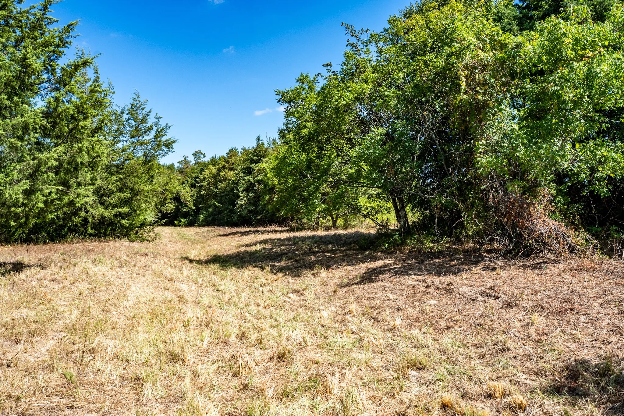 Unimproved Land For Sale in Lamar County , 000 County Road 35400, Arthur City, Texas 75411, 0, 0, Garage spaces, 0 Sqft, built in 0, mls#21391922, Real Estate Agent in Arthur City, Homes For Sale in Lamar county, Homes For Sale in Arthur City, Realtor in Arthur City Texas, Real Estate Brokerage Independent Realty Texas, Luminita Cordes Realtor