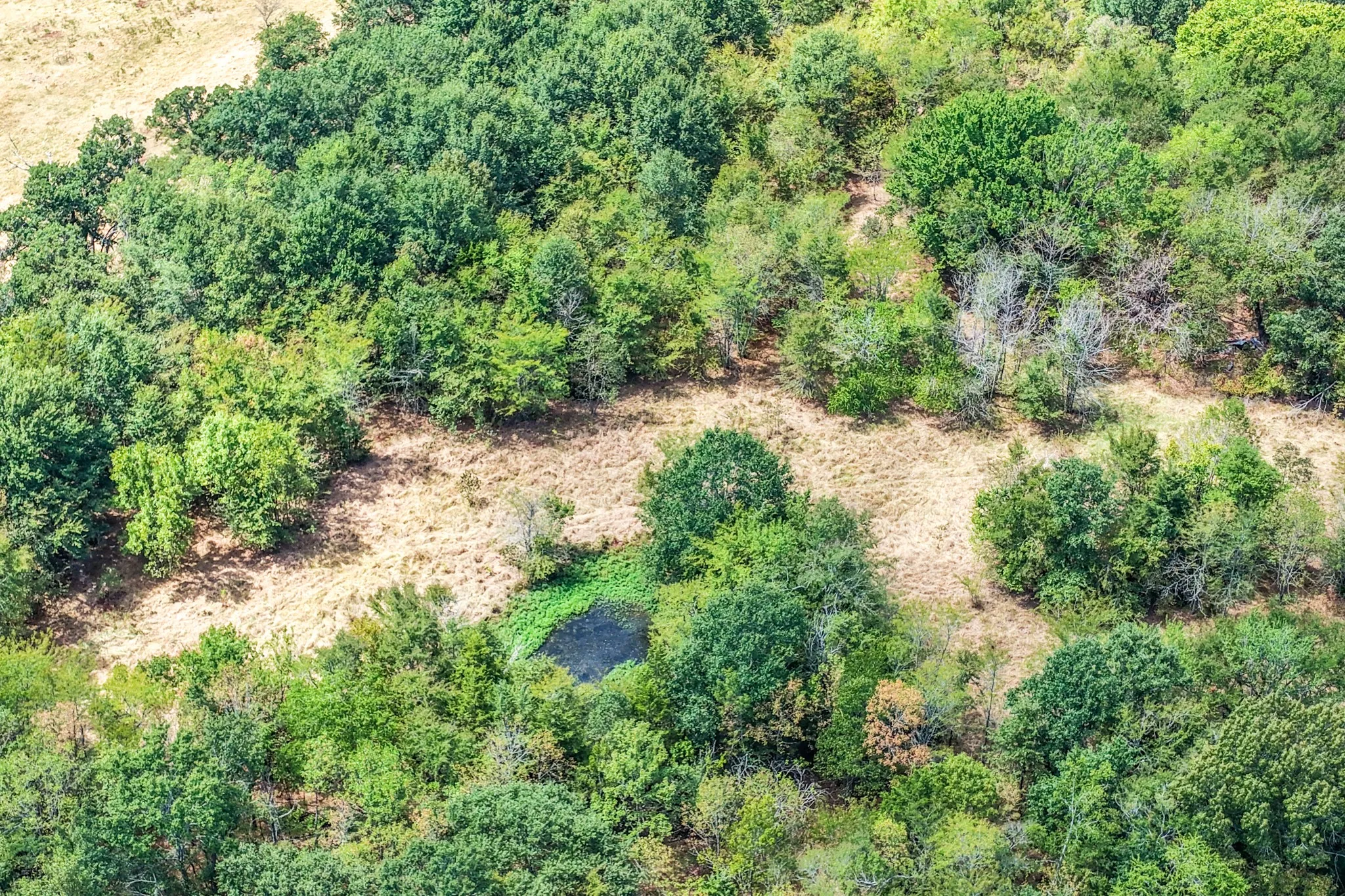Unimproved Land For Sale in Lamar County , 000 County Road 35400, Arthur City, Texas 75411, 0, 0, Garage spaces, 0 Sqft, built in 0, mls#21391922, Real Estate Agent in Arthur City, Homes For Sale in Lamar county, Homes For Sale in Arthur City, Realtor in Arthur City Texas, Real Estate Brokerage Independent Realty Texas, Luminita Cordes Realtor