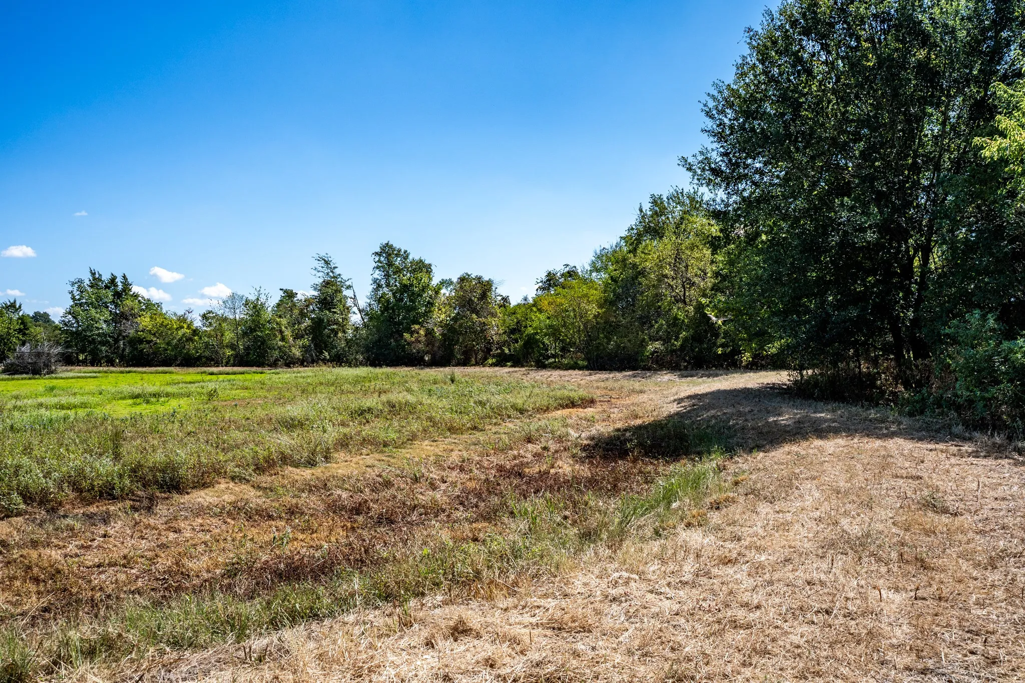 Unimproved Land For Sale in Lamar County , 000 County Road 35400, Arthur City, Texas 75411, 0, 0, Garage spaces, 0 Sqft, built in 0, mls#21391922, Real Estate Agent in Arthur City, Homes For Sale in Lamar county, Homes For Sale in Arthur City, Realtor in Arthur City Texas, Real Estate Brokerage Independent Realty Texas, Luminita Cordes Realtor