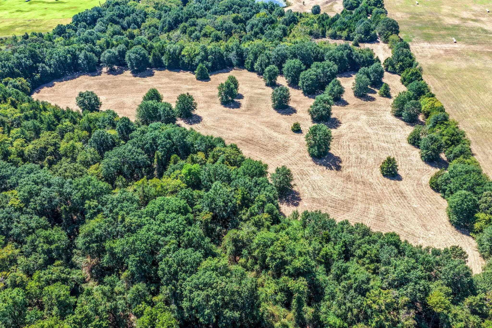 Unimproved Land For Sale in Lamar County , 000 County Road 35400, Arthur City, Texas 75411, 0, 0, Garage spaces, 0 Sqft, built in 0, mls#21391922, Real Estate Agent in Arthur City, Homes For Sale in Lamar county, Homes For Sale in Arthur City, Realtor in Arthur City Texas, Real Estate Brokerage Independent Realty Texas, Luminita Cordes Realtor
