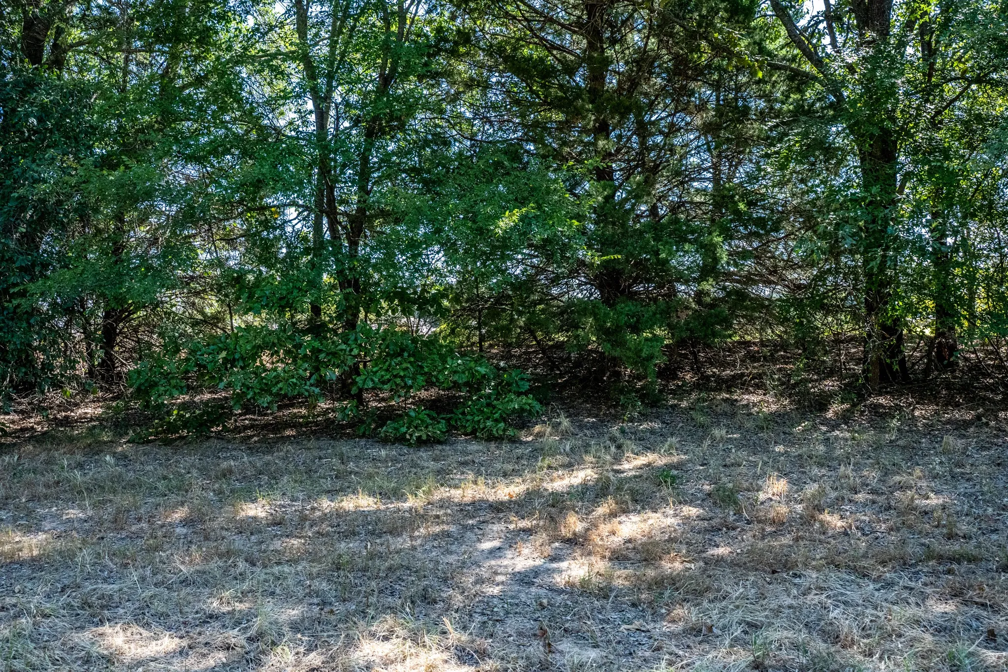 Unimproved Land For Sale in Lamar County , 000 County Road 35400, Arthur City, Texas 75411, 0, 0, Garage spaces, 0 Sqft, built in 0, mls#21391922, Real Estate Agent in Arthur City, Homes For Sale in Lamar county, Homes For Sale in Arthur City, Realtor in Arthur City Texas, Real Estate Brokerage Independent Realty Texas, Luminita Cordes Realtor