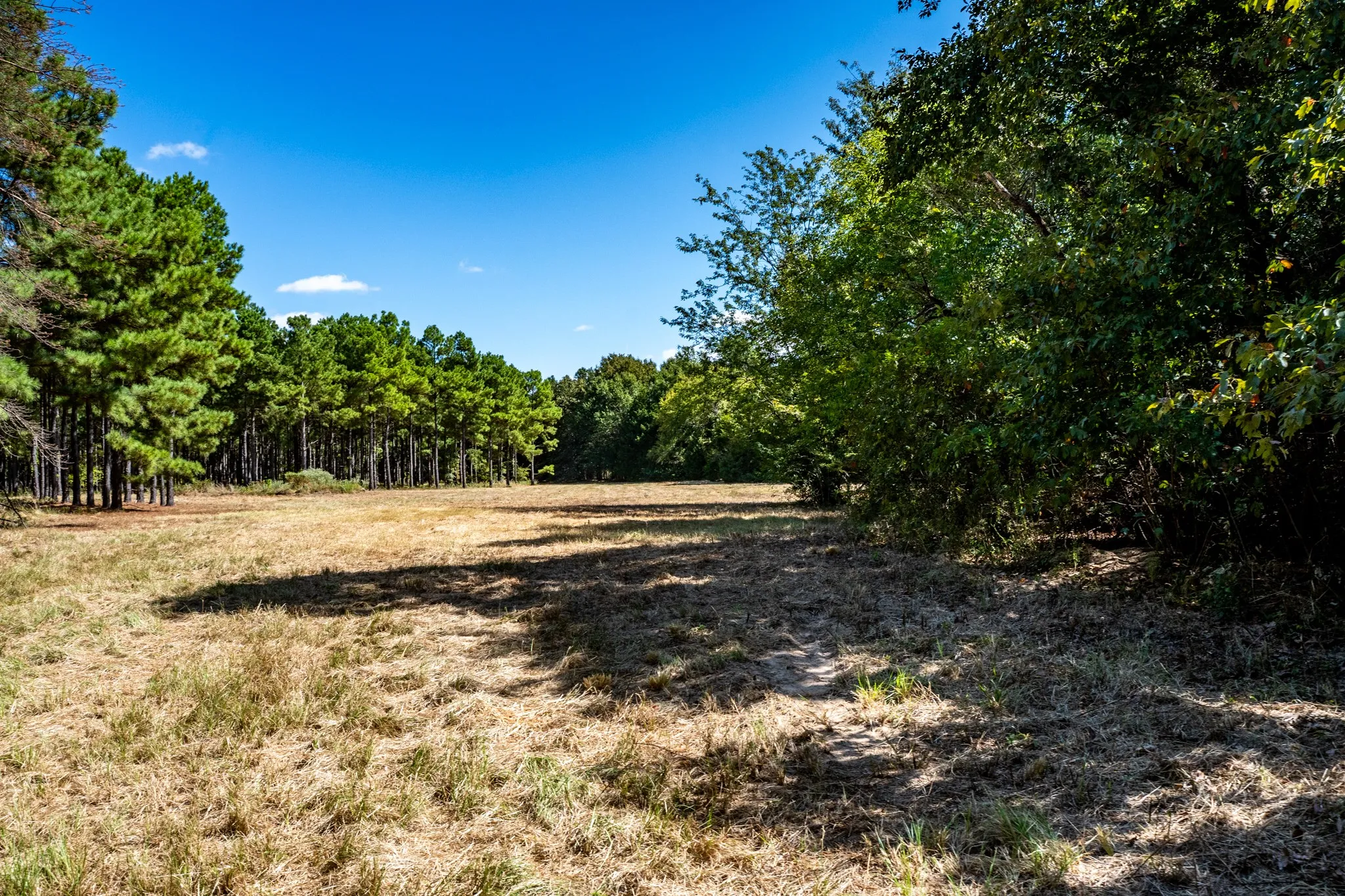 Unimproved Land For Sale in Lamar County , 000 County Road 35400, Arthur City, Texas 75411, 0, 0, Garage spaces, 0 Sqft, built in 0, mls#21391922, Real Estate Agent in Arthur City, Homes For Sale in Lamar county, Homes For Sale in Arthur City, Realtor in Arthur City Texas, Real Estate Brokerage Independent Realty Texas, Luminita Cordes Realtor