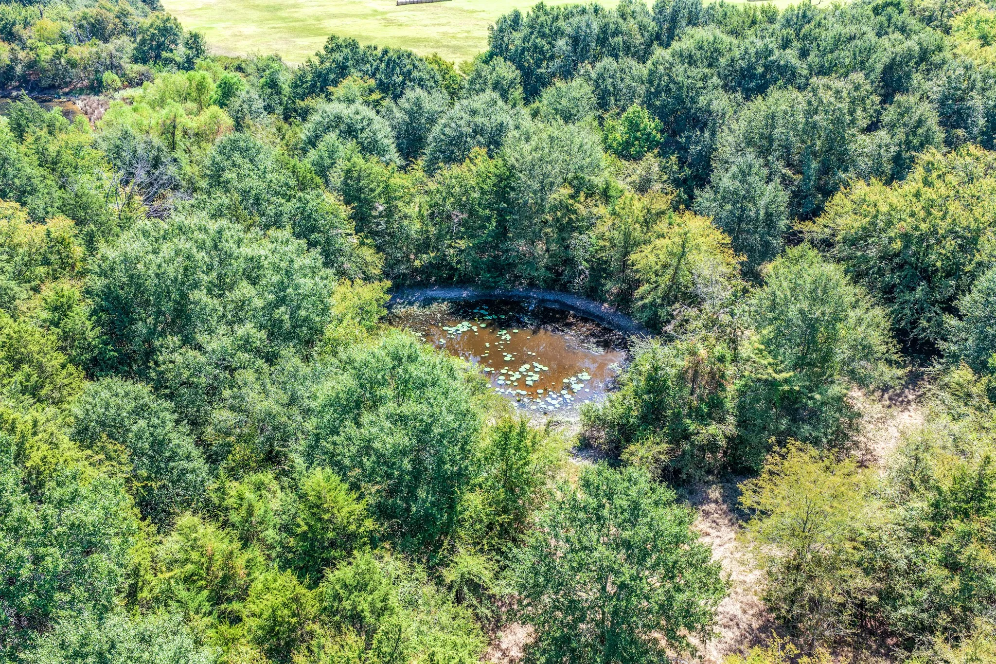 Unimproved Land For Sale in Lamar County , 000 County Road 35400, Arthur City, Texas 75411, 0, 0, Garage spaces, 0 Sqft, built in 0, mls#21391922, Real Estate Agent in Arthur City, Homes For Sale in Lamar county, Homes For Sale in Arthur City, Realtor in Arthur City Texas, Real Estate Brokerage Independent Realty Texas, Luminita Cordes Realtor