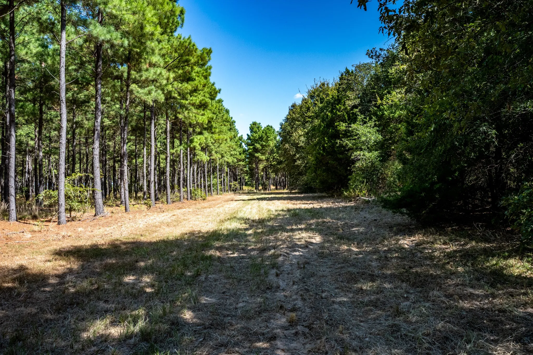 Unimproved Land For Sale in Lamar County , 000 County Road 35400, Arthur City, Texas 75411, 0, 0, Garage spaces, 0 Sqft, built in 0, mls#21391922, Real Estate Agent in Arthur City, Homes For Sale in Lamar county, Homes For Sale in Arthur City, Realtor in Arthur City Texas, Real Estate Brokerage Independent Realty Texas, Luminita Cordes Realtor