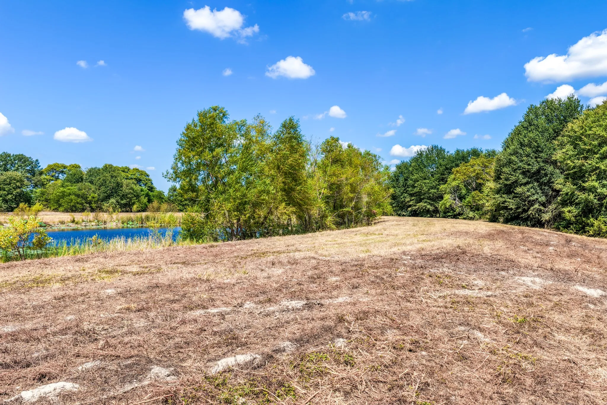 Unimproved Land For Sale in Lamar County , 000 County Road 35400, Arthur City, Texas 75411, 0, 0, Garage spaces, 0 Sqft, built in 0, mls#21391922, Real Estate Agent in Arthur City, Homes For Sale in Lamar county, Homes For Sale in Arthur City, Realtor in Arthur City Texas, Real Estate Brokerage Independent Realty Texas, Luminita Cordes Realtor