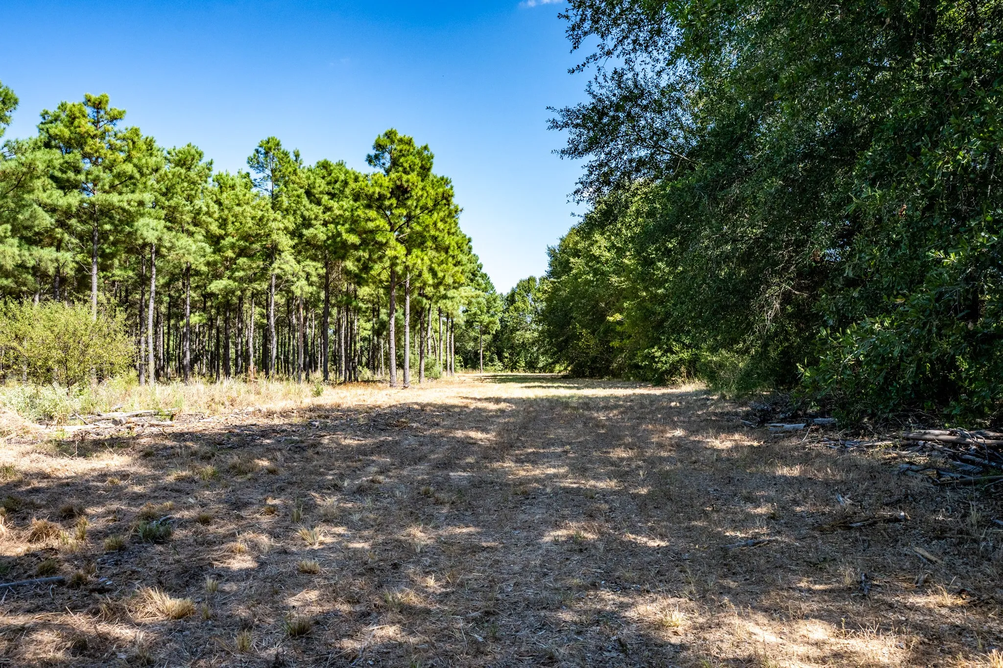 Unimproved Land For Sale in Lamar County , 000 County Road 35400, Arthur City, Texas 75411, 0, 0, Garage spaces, 0 Sqft, built in 0, mls#21391922, Real Estate Agent in Arthur City, Homes For Sale in Lamar county, Homes For Sale in Arthur City, Realtor in Arthur City Texas, Real Estate Brokerage Independent Realty Texas, Luminita Cordes Realtor