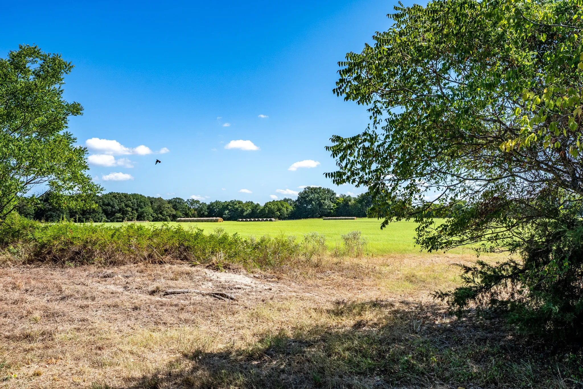 Unimproved Land For Sale in Lamar County , 000 County Road 35400, Arthur City, Texas 75411, 0, 0, Garage spaces, 0 Sqft, built in 0, mls#21391922, Real Estate Agent in Arthur City, Homes For Sale in Lamar county, Homes For Sale in Arthur City, Realtor in Arthur City Texas, Real Estate Brokerage Independent Realty Texas, Luminita Cordes Realtor