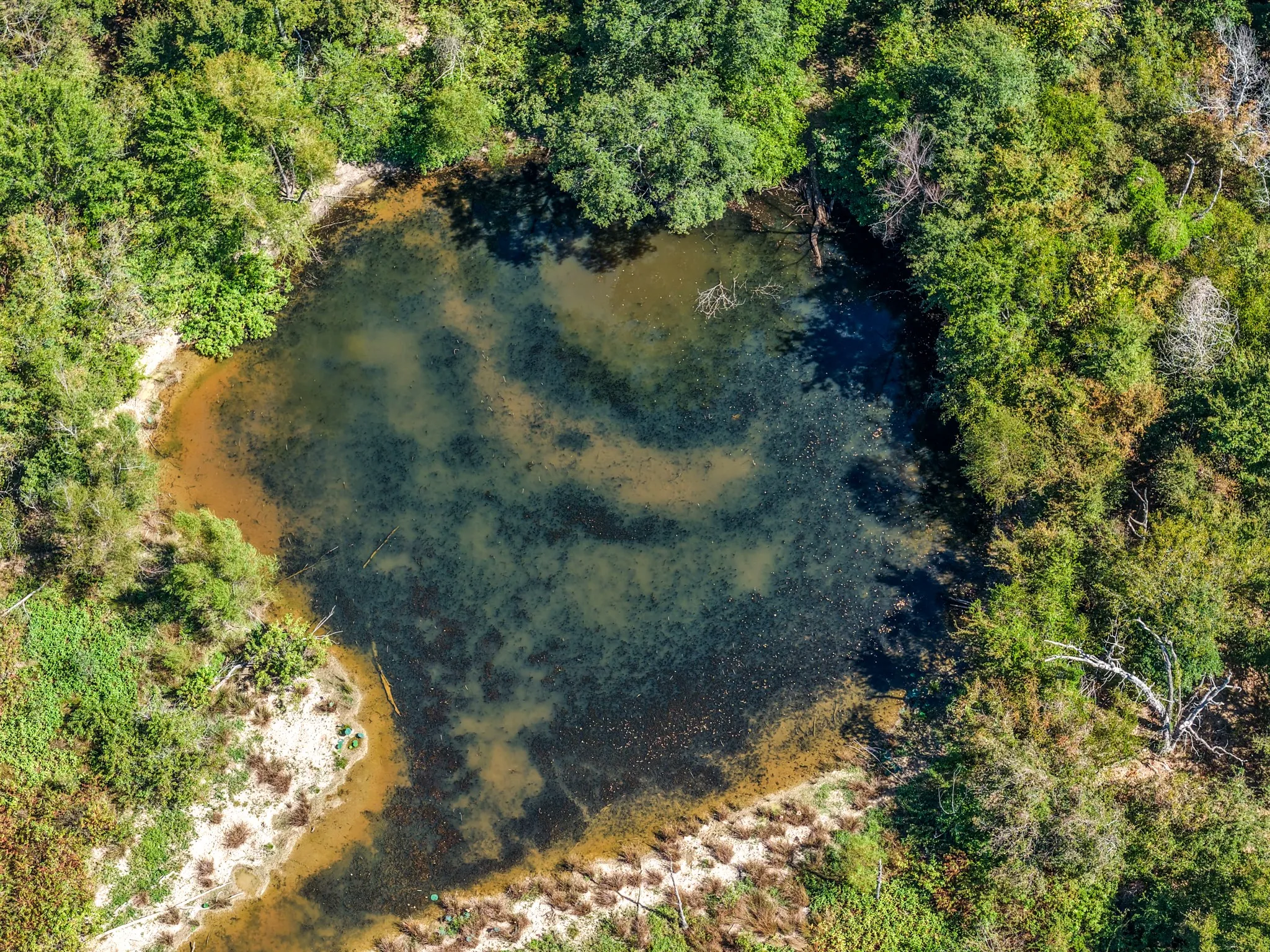 Unimproved Land For Sale in Lamar County , 000 County Road 35400, Arthur City, Texas 75411, 0, 0, Garage spaces, 0 Sqft, built in 0, mls#21391922, Real Estate Agent in Arthur City, Homes For Sale in Lamar county, Homes For Sale in Arthur City, Realtor in Arthur City Texas, Real Estate Brokerage Independent Realty Texas, Luminita Cordes Realtor