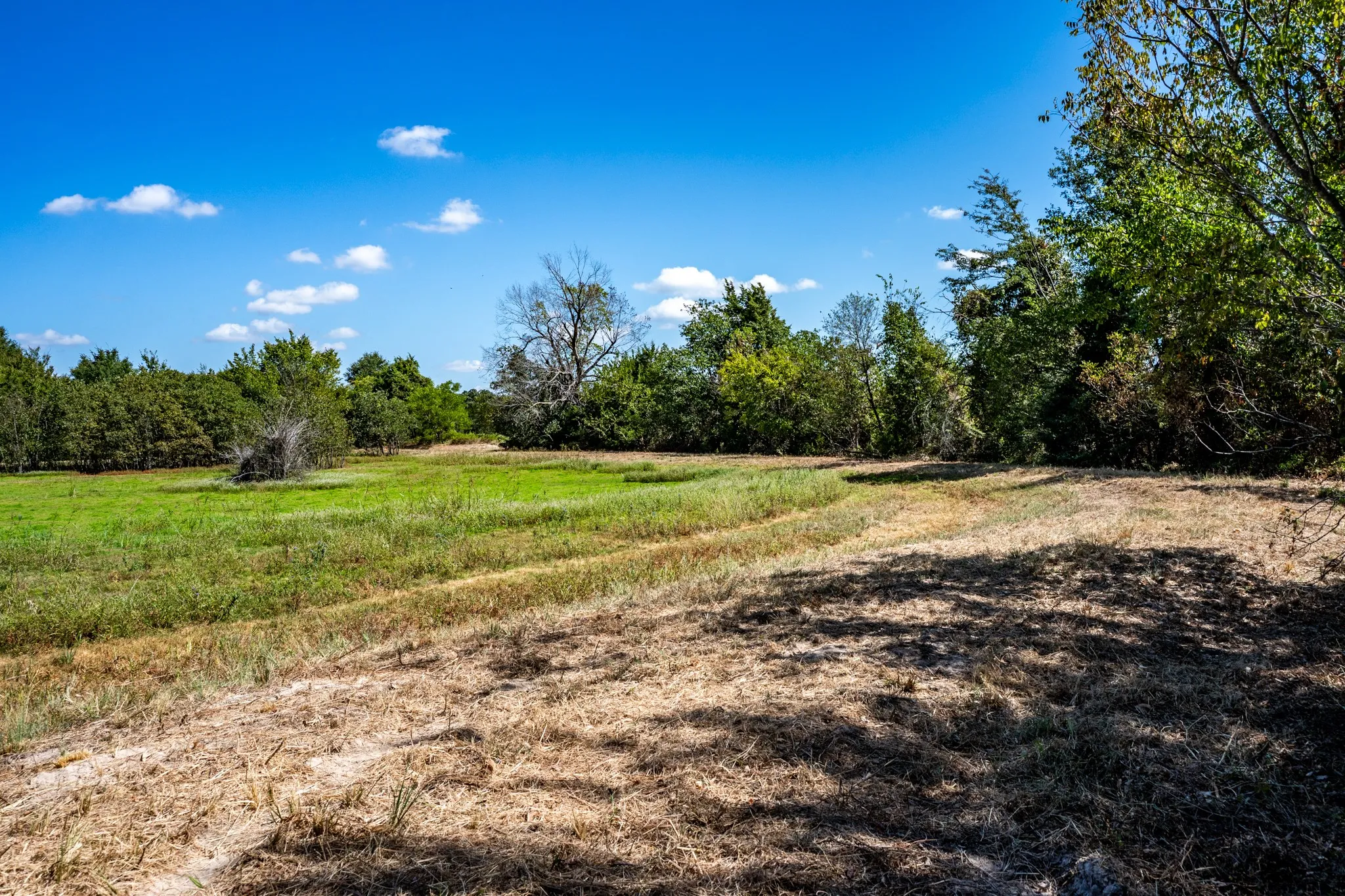 Unimproved Land For Sale in Lamar County , 000 County Road 35400, Arthur City, Texas 75411, 0, 0, Garage spaces, 0 Sqft, built in 0, mls#21391922, Real Estate Agent in Arthur City, Homes For Sale in Lamar county, Homes For Sale in Arthur City, Realtor in Arthur City Texas, Real Estate Brokerage Independent Realty Texas, Luminita Cordes Realtor