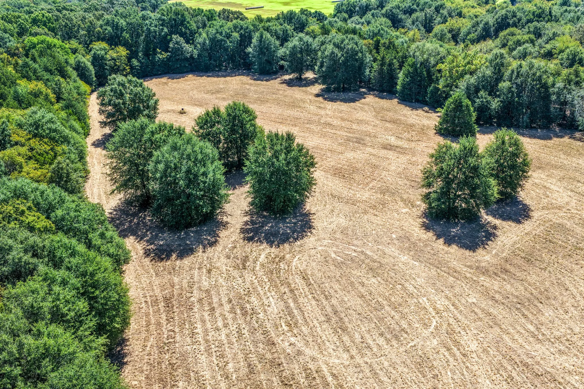 Unimproved Land For Sale in Lamar County , 000 County Road 35400, Arthur City, Texas 75411, 0, 0, Garage spaces, 0 Sqft, built in 0, mls#21391922, Real Estate Agent in Arthur City, Homes For Sale in Lamar county, Homes For Sale in Arthur City, Realtor in Arthur City Texas, Real Estate Brokerage Independent Realty Texas, Luminita Cordes Realtor