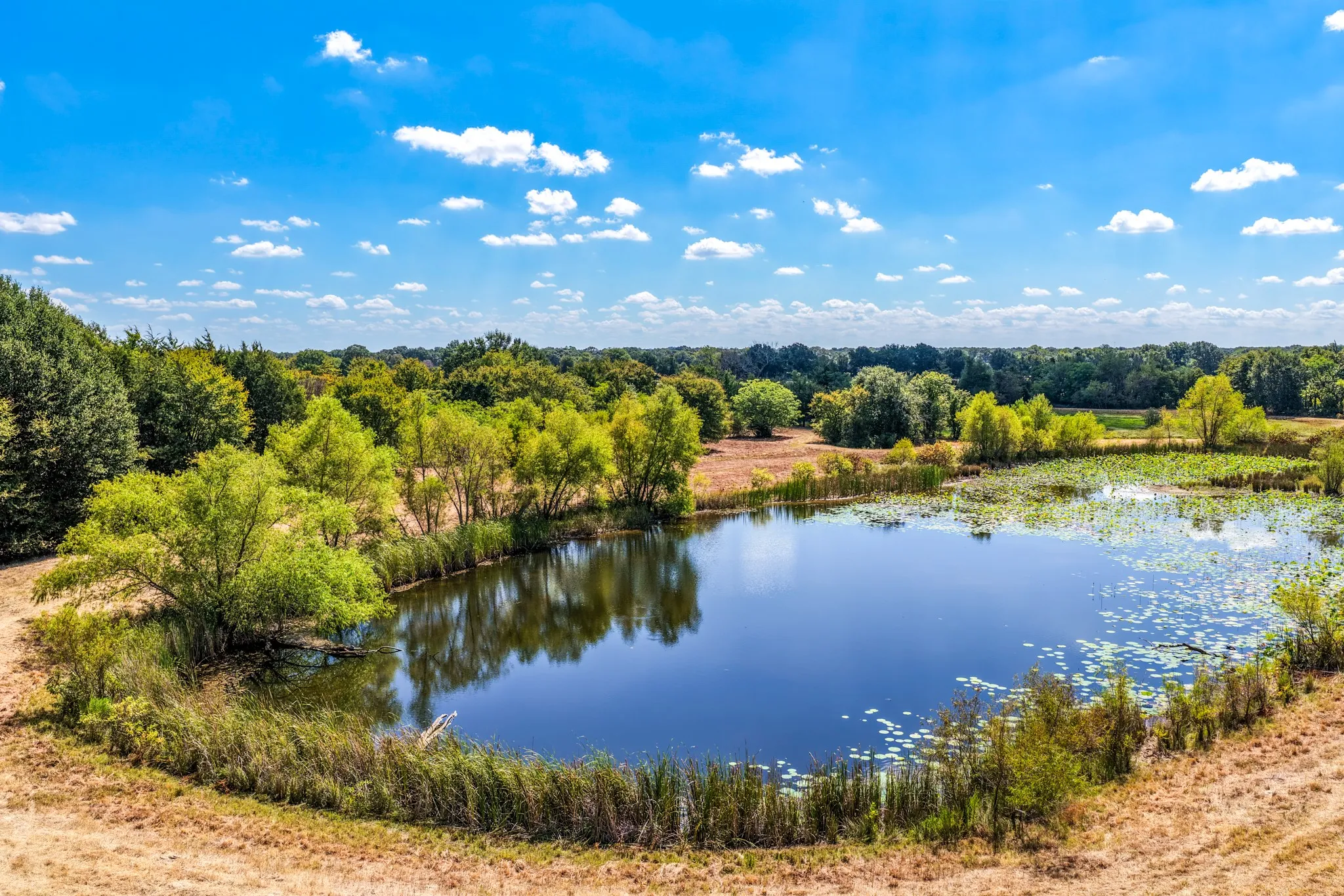 Unimproved Land For Sale in Lamar County , 000 County Road 35400, Arthur City, Texas 75411, 0, 0, Garage spaces, 0 Sqft, built in 0, mls#21391922, Real Estate Agent in Arthur City, Homes For Sale in Lamar county, Homes For Sale in Arthur City, Realtor in Arthur City Texas, Real Estate Brokerage Independent Realty Texas, Luminita Cordes Realtor
