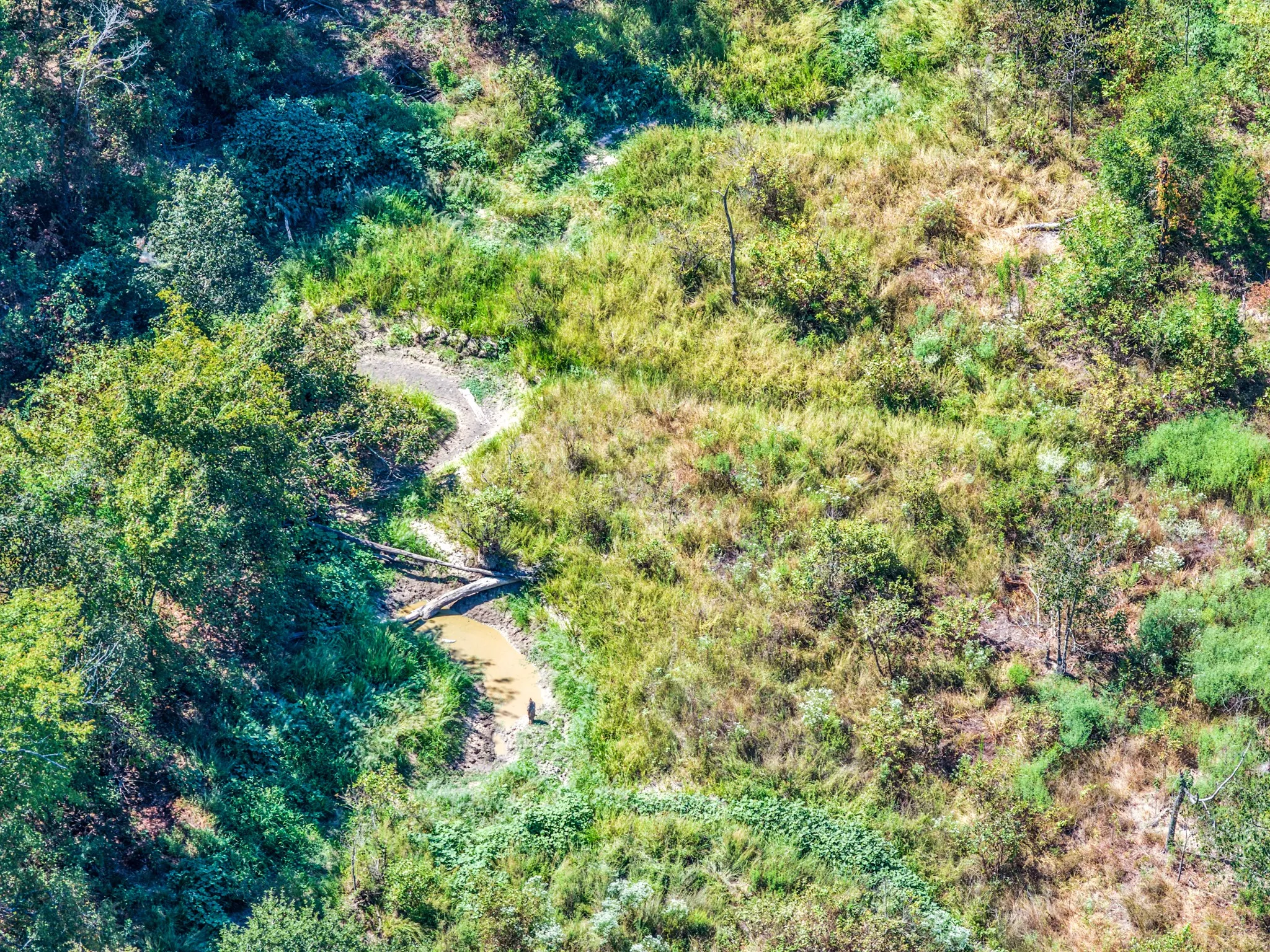 Unimproved Land For Sale in Lamar County , 000 County Road 35400, Arthur City, Texas 75411, 0, 0, Garage spaces, 0 Sqft, built in 0, mls#21391922, Real Estate Agent in Arthur City, Homes For Sale in Lamar county, Homes For Sale in Arthur City, Realtor in Arthur City Texas, Real Estate Brokerage Independent Realty Texas, Luminita Cordes Realtor