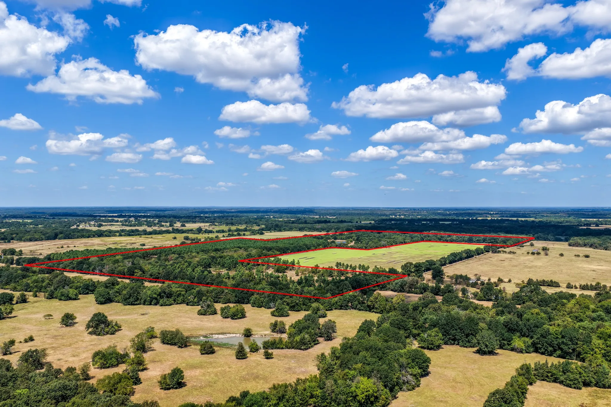 Unimproved Land For Sale in Lamar County , 000 County Road 35400, Arthur City, Texas 75411, 0, 0, Garage spaces, 0 Sqft, built in 0, mls#21391922, Real Estate Agent in Arthur City, Homes For Sale in Lamar county, Homes For Sale in Arthur City, Realtor in Arthur City Texas, Real Estate Brokerage Independent Realty Texas, Luminita Cordes Realtor