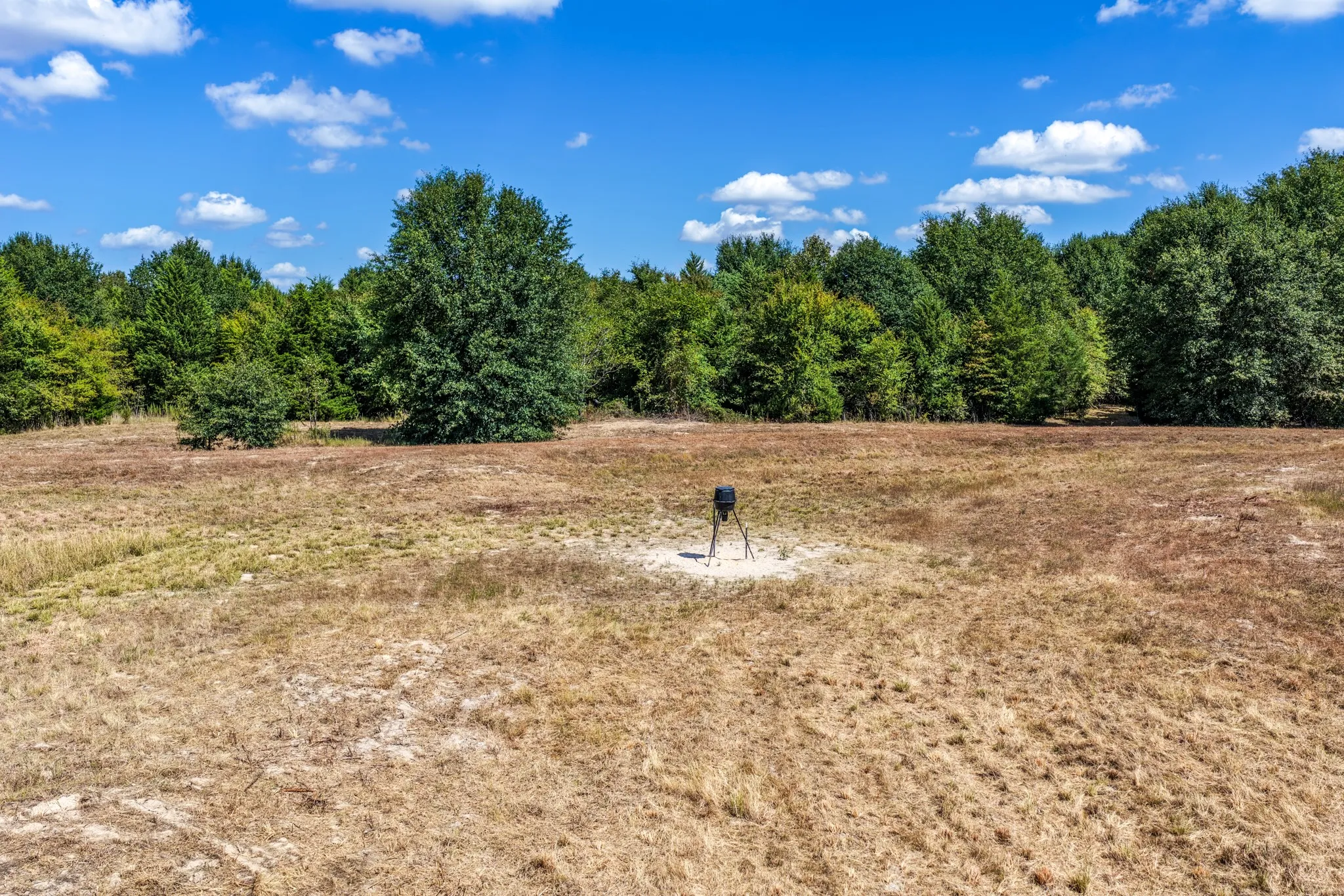 Unimproved Land For Sale in Lamar County , 000 County Road 35400, Arthur City, Texas 75411, 0, 0, Garage spaces, 0 Sqft, built in 0, mls#21391922, Real Estate Agent in Arthur City, Homes For Sale in Lamar county, Homes For Sale in Arthur City, Realtor in Arthur City Texas, Real Estate Brokerage Independent Realty Texas, Luminita Cordes Realtor