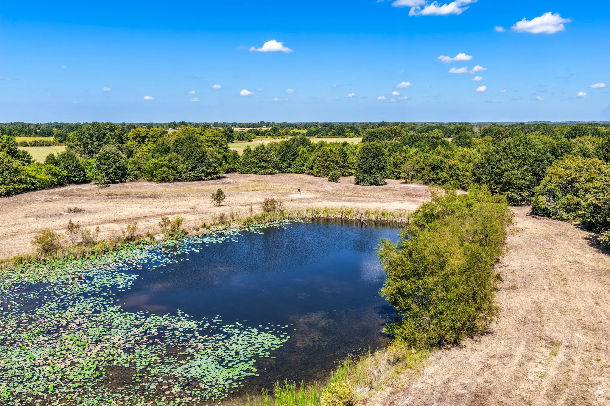 Unimproved Land For Sale in Lamar County , 000 County Road 35400, Arthur City, Texas 75411, 0, 0, Garage spaces, 0 Sqft, built in 0, mls#21391922, Real Estate Agent in Arthur City, Homes For Sale in Lamar county, Homes For Sale in Arthur City, Realtor in Arthur City Texas, Real Estate Brokerage Independent Realty Texas, Luminita Cordes Realtor
