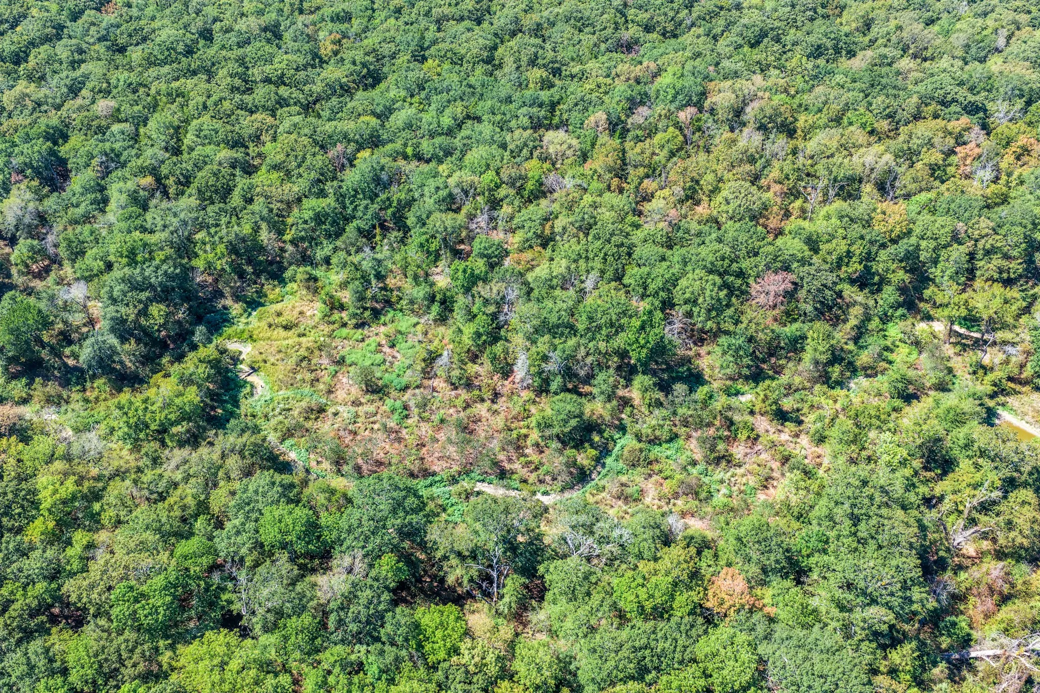 Unimproved Land For Sale in Lamar County , 000 County Road 35400, Arthur City, Texas 75411, 0, 0, Garage spaces, 0 Sqft, built in 0, mls#21391922, Real Estate Agent in Arthur City, Homes For Sale in Lamar county, Homes For Sale in Arthur City, Realtor in Arthur City Texas, Real Estate Brokerage Independent Realty Texas, Luminita Cordes Realtor