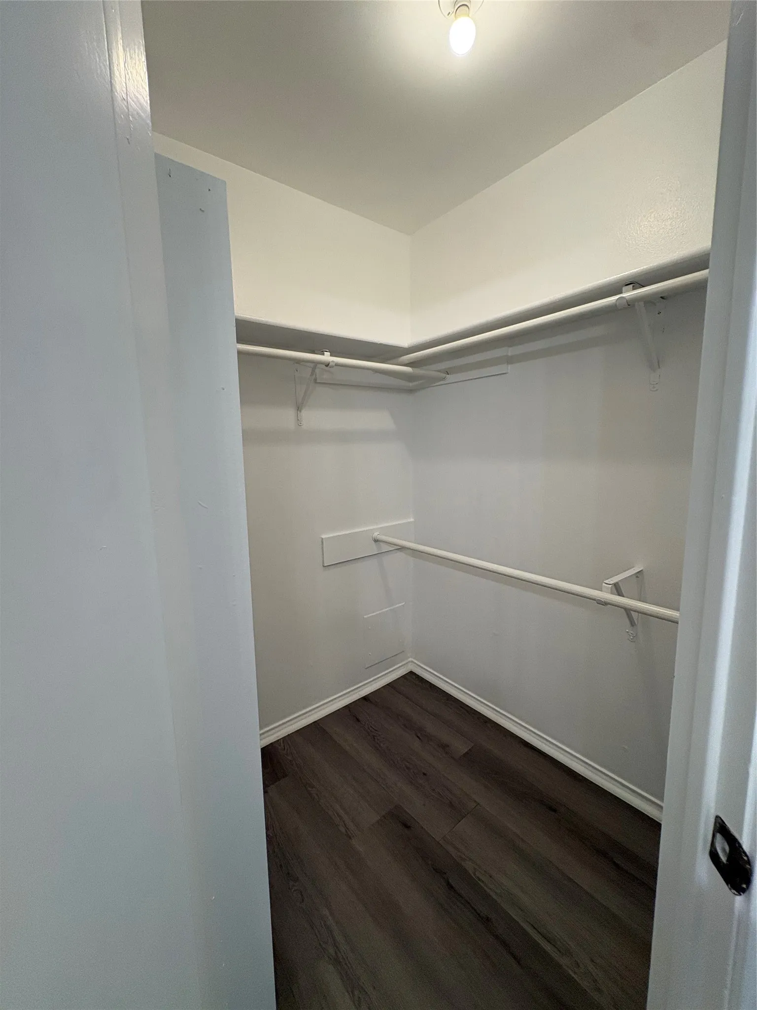 Walk-in closet featuring wood-finish flooring, white walls, and built-in shelving with hanging rods